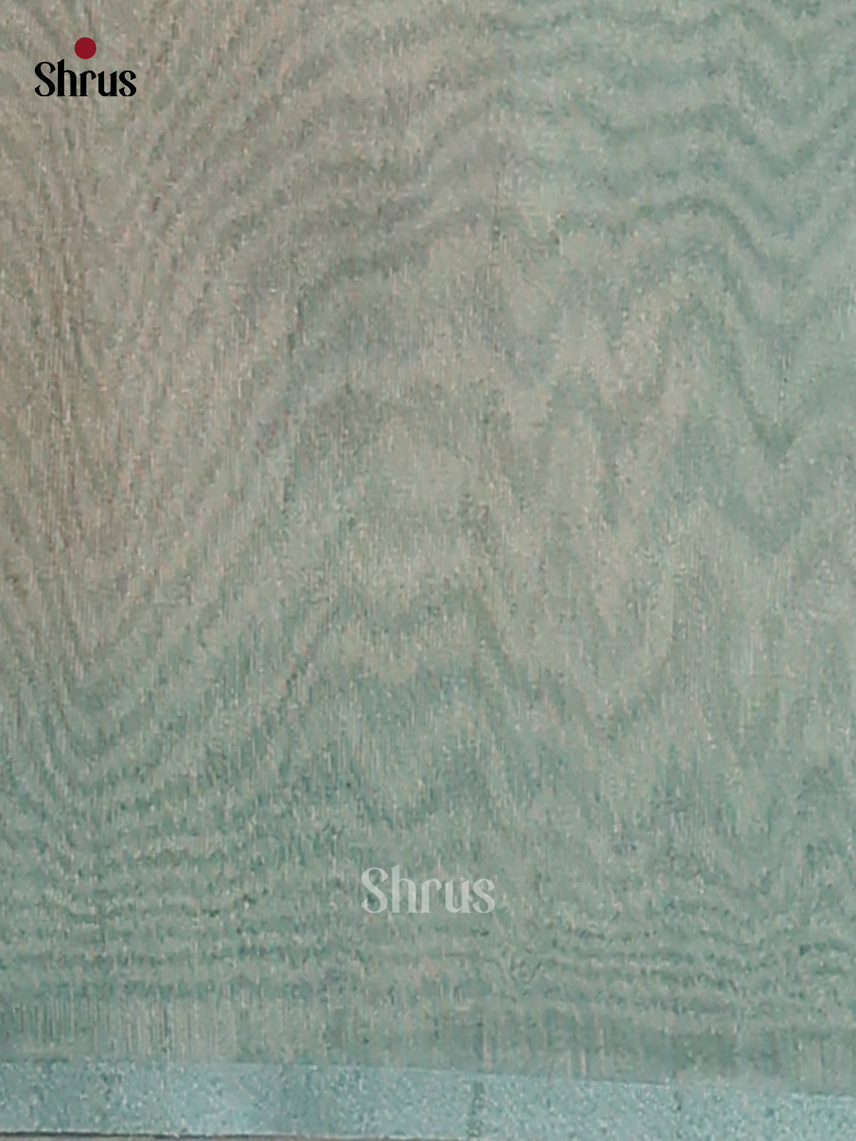 Ice Blue - Semi Tissue saree