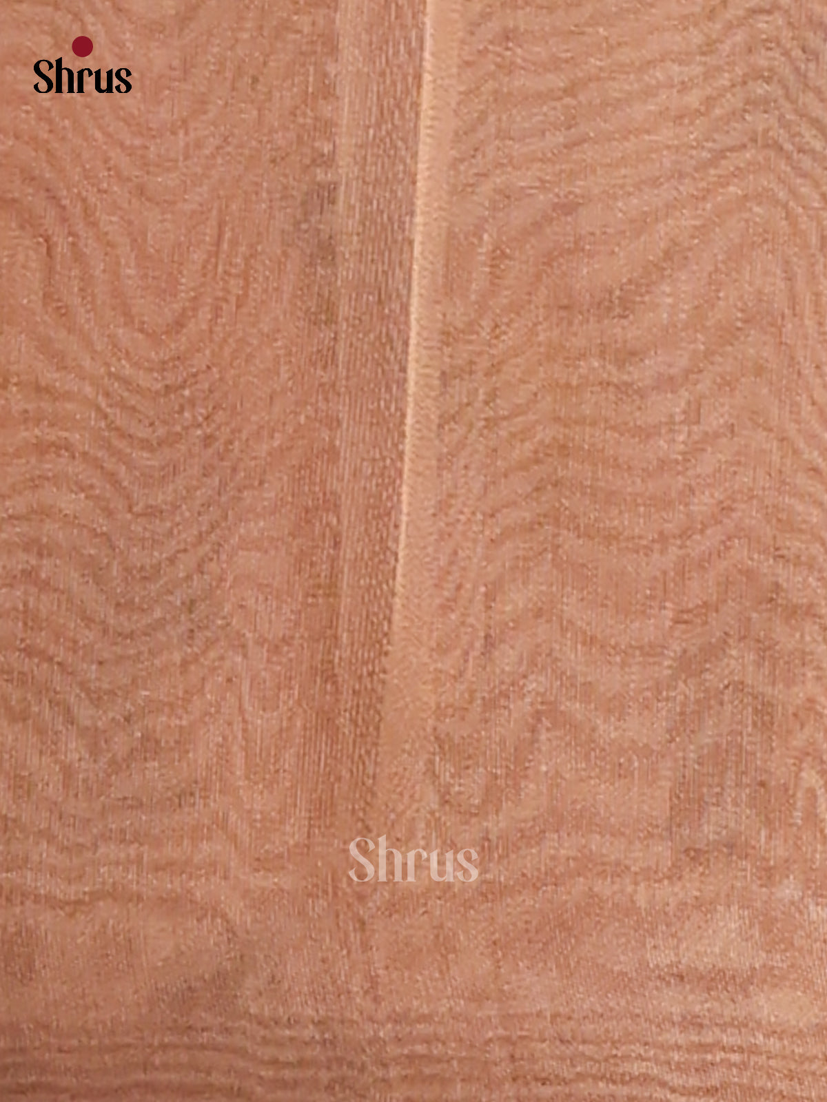 Biscuit & Brown - Semi Tissue saree