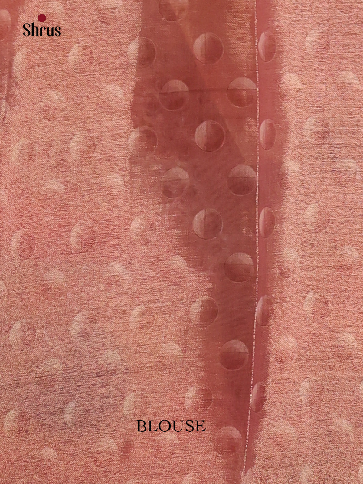 Dusty Green & Brown- Semi Tissue Print Saree