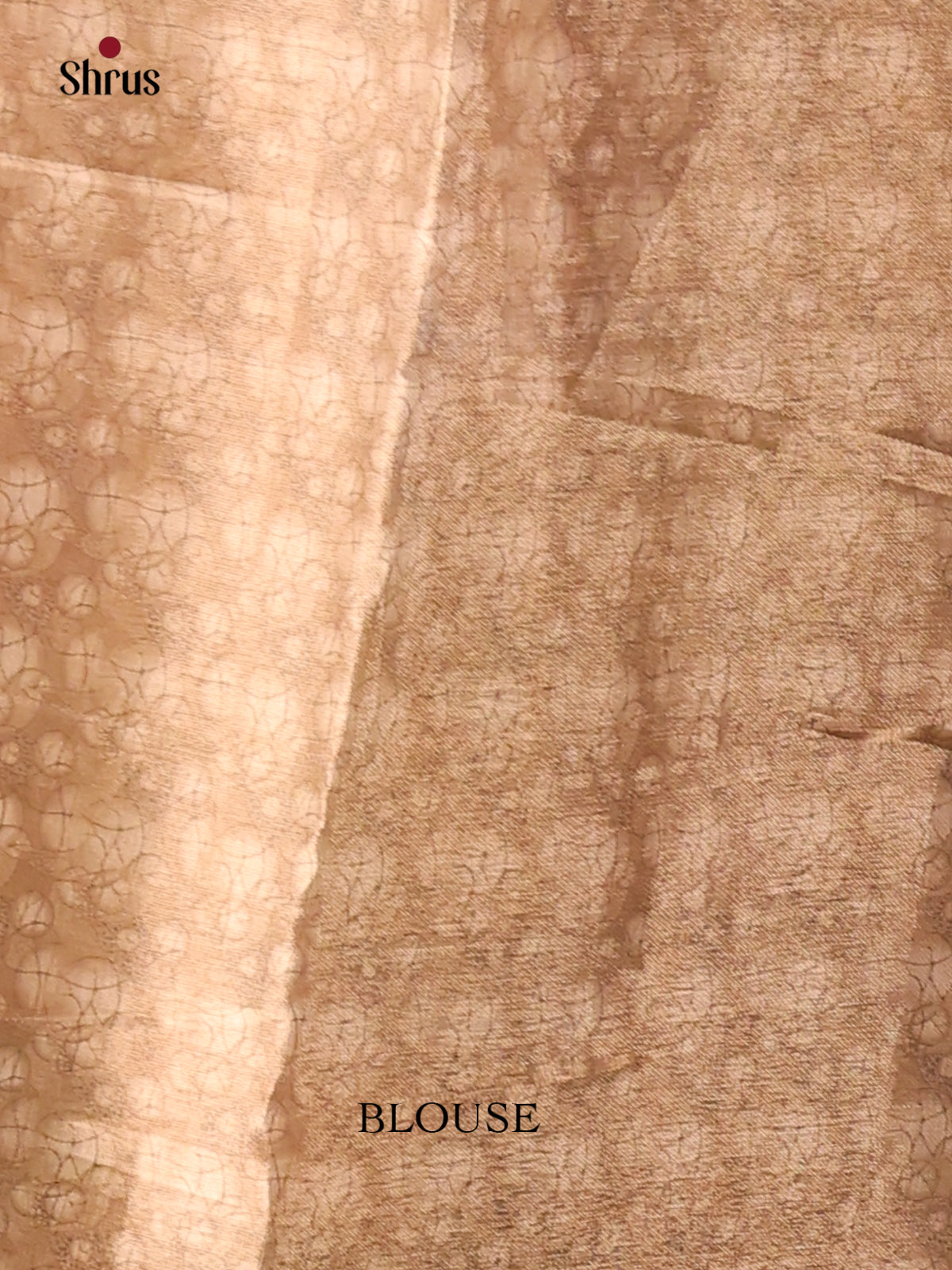 Pastel Green & Brown - Semi Tissue Print Saree