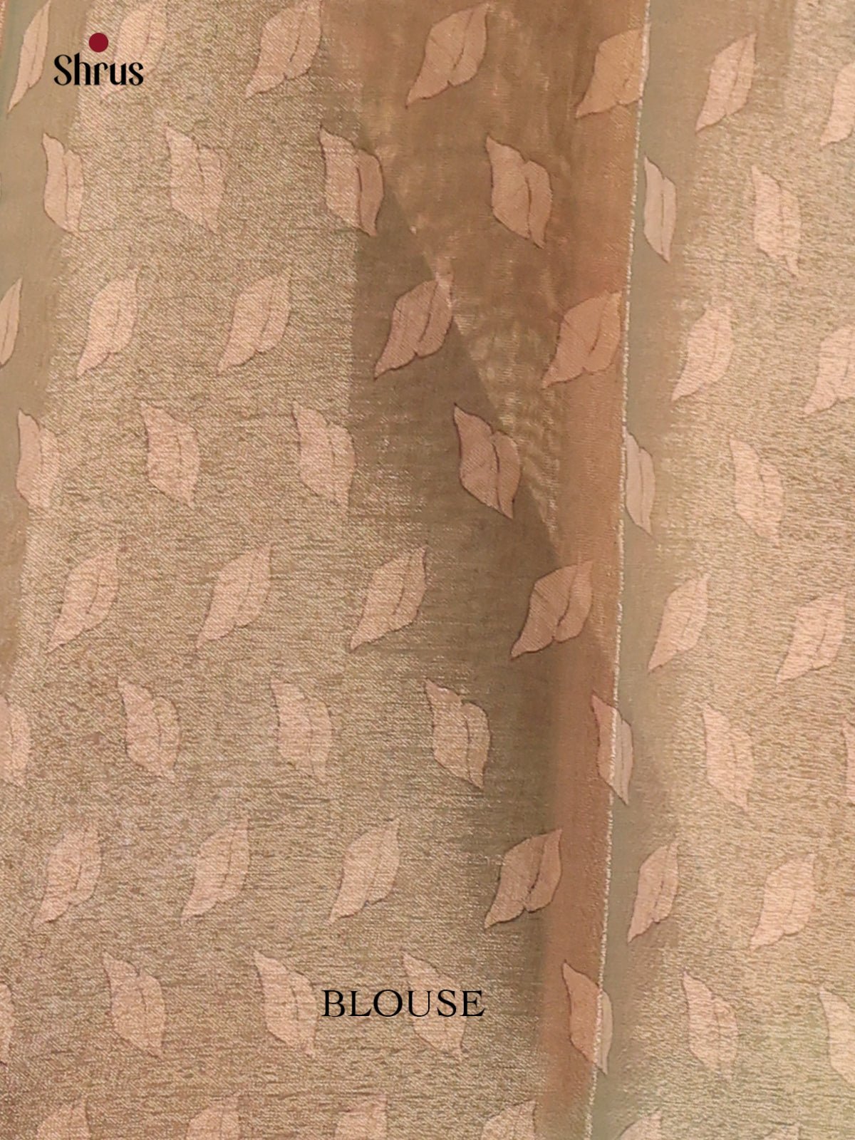 Green - Semi Tissue Print Saree