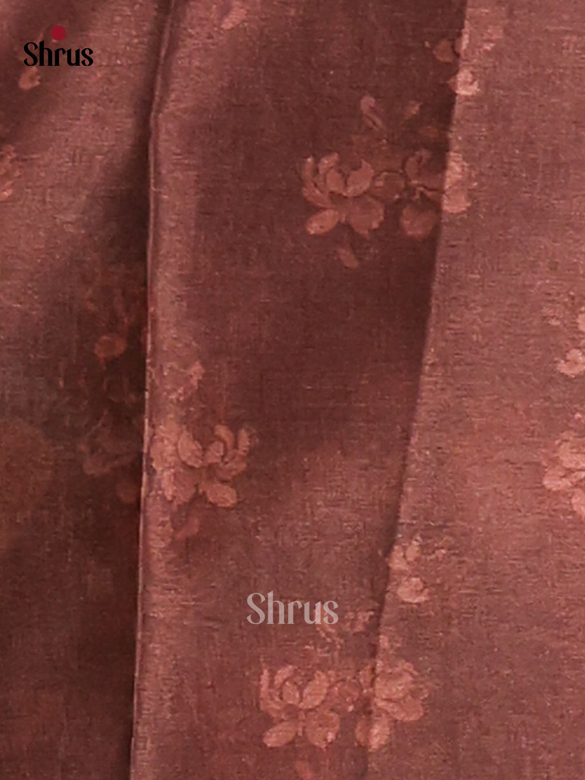 Cream & Brown- Butter silk Saree