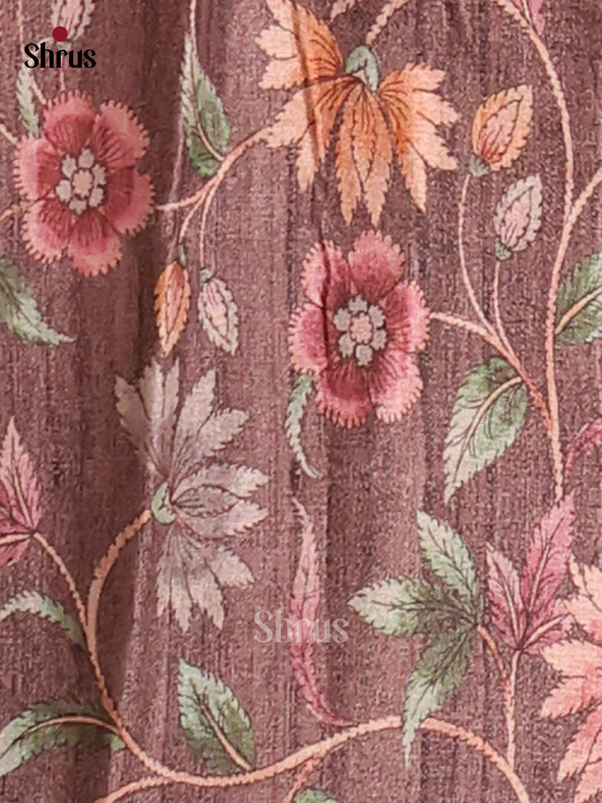 Cream & Brown - Butter silk Saree