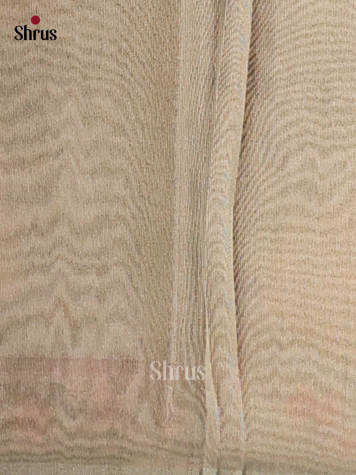Grey Green - Semi Tissue Print Saree