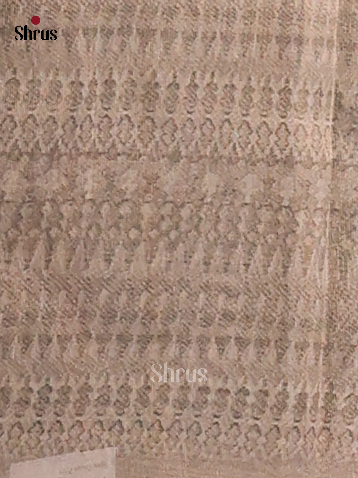 Light Blue & Grey - Semi Tissue Print Saree