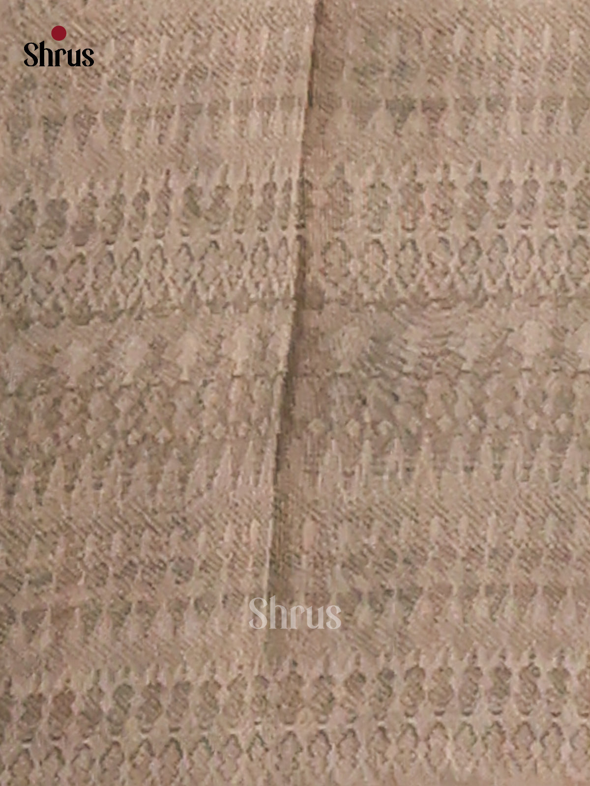 Pastel Green - Semi Tissue Print Saree