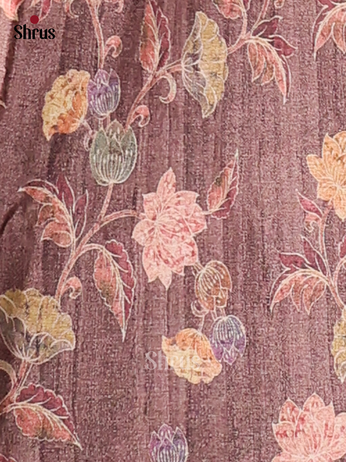 Cream & Brown- Butter silk Saree