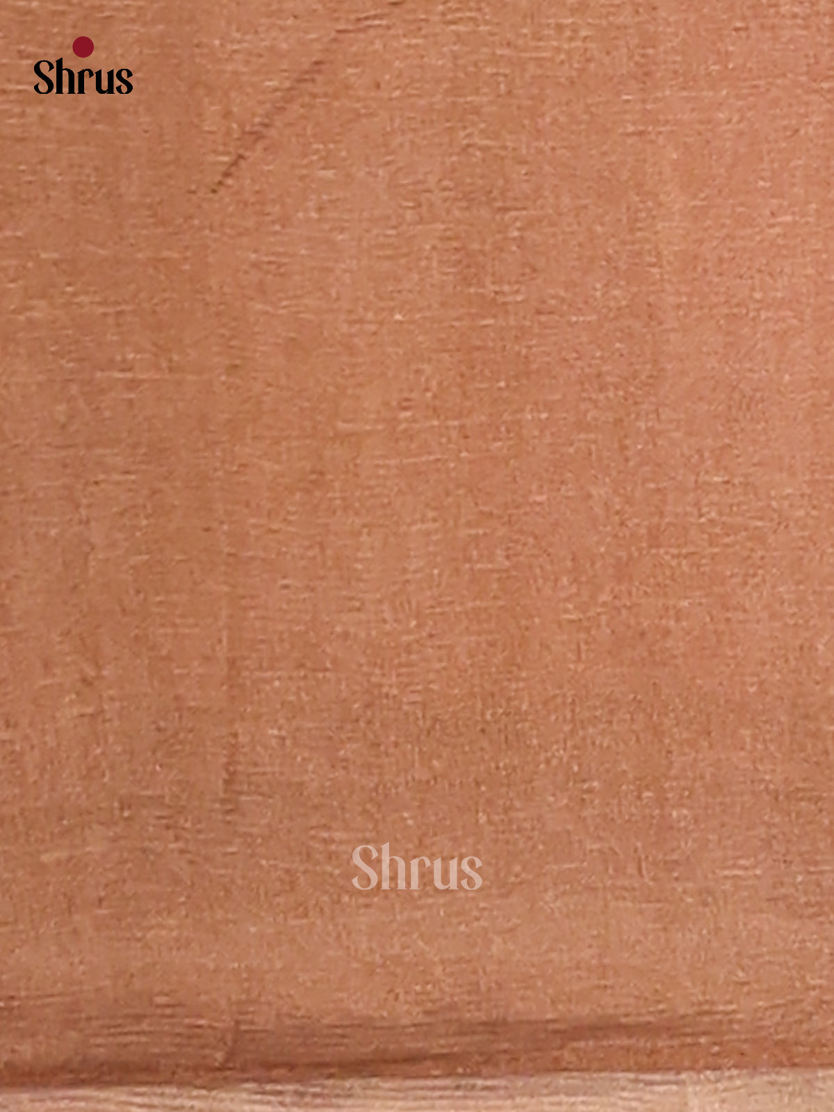 Dusty Brown & Biscuit - Semi Tissue Print Saree