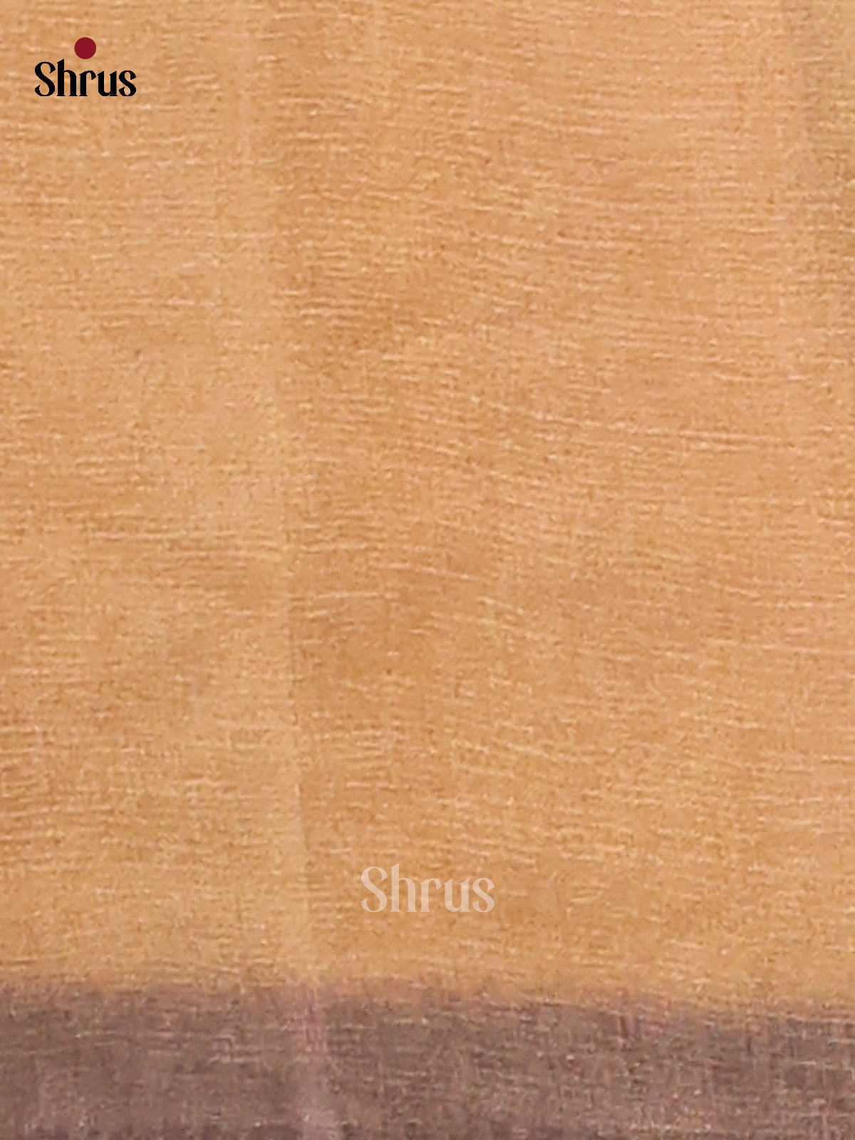 Peach & Grey - Semi Tissue Print Saree