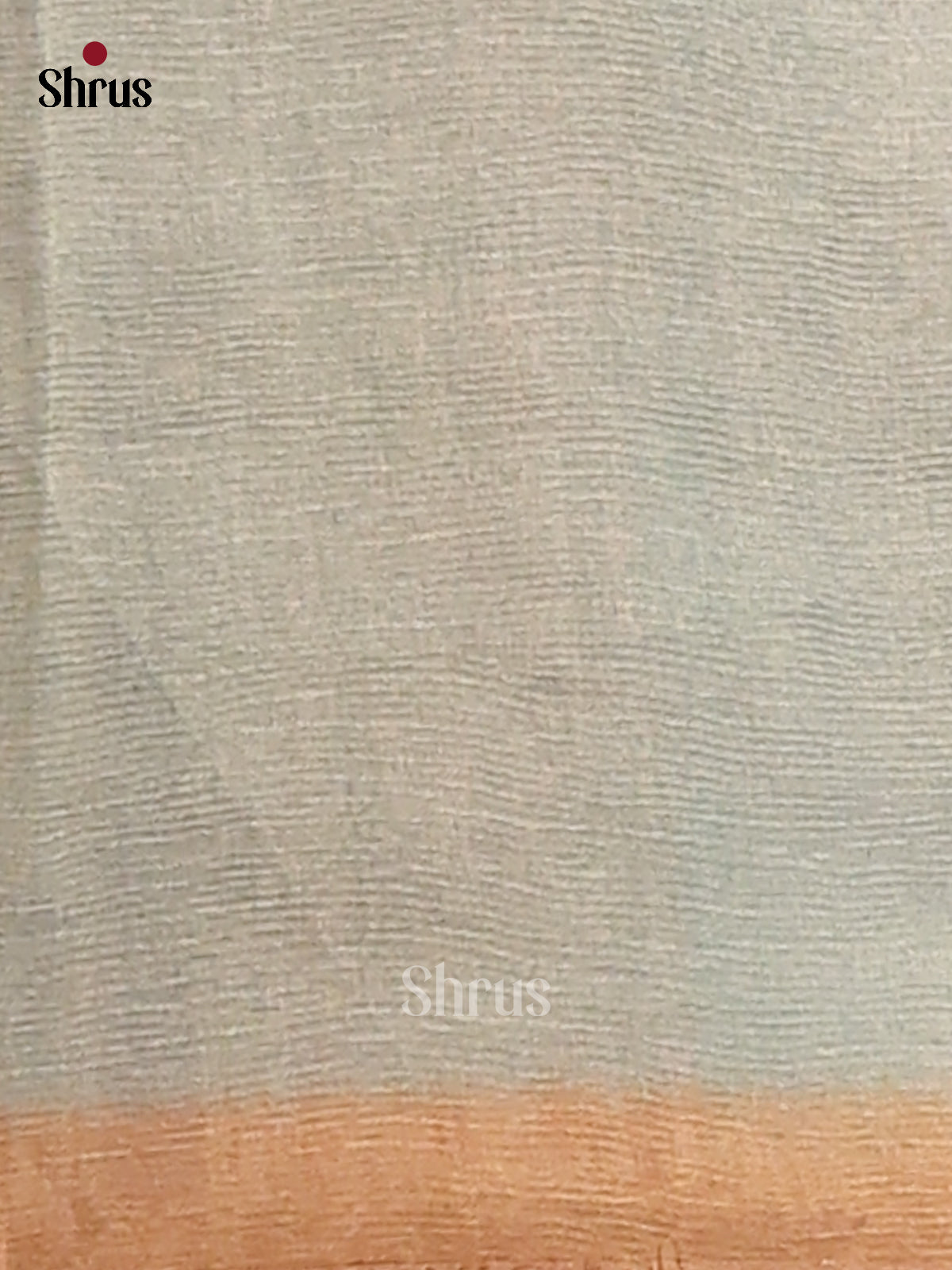 Pastel Blue & Grey - Semi Tissue Print Saree