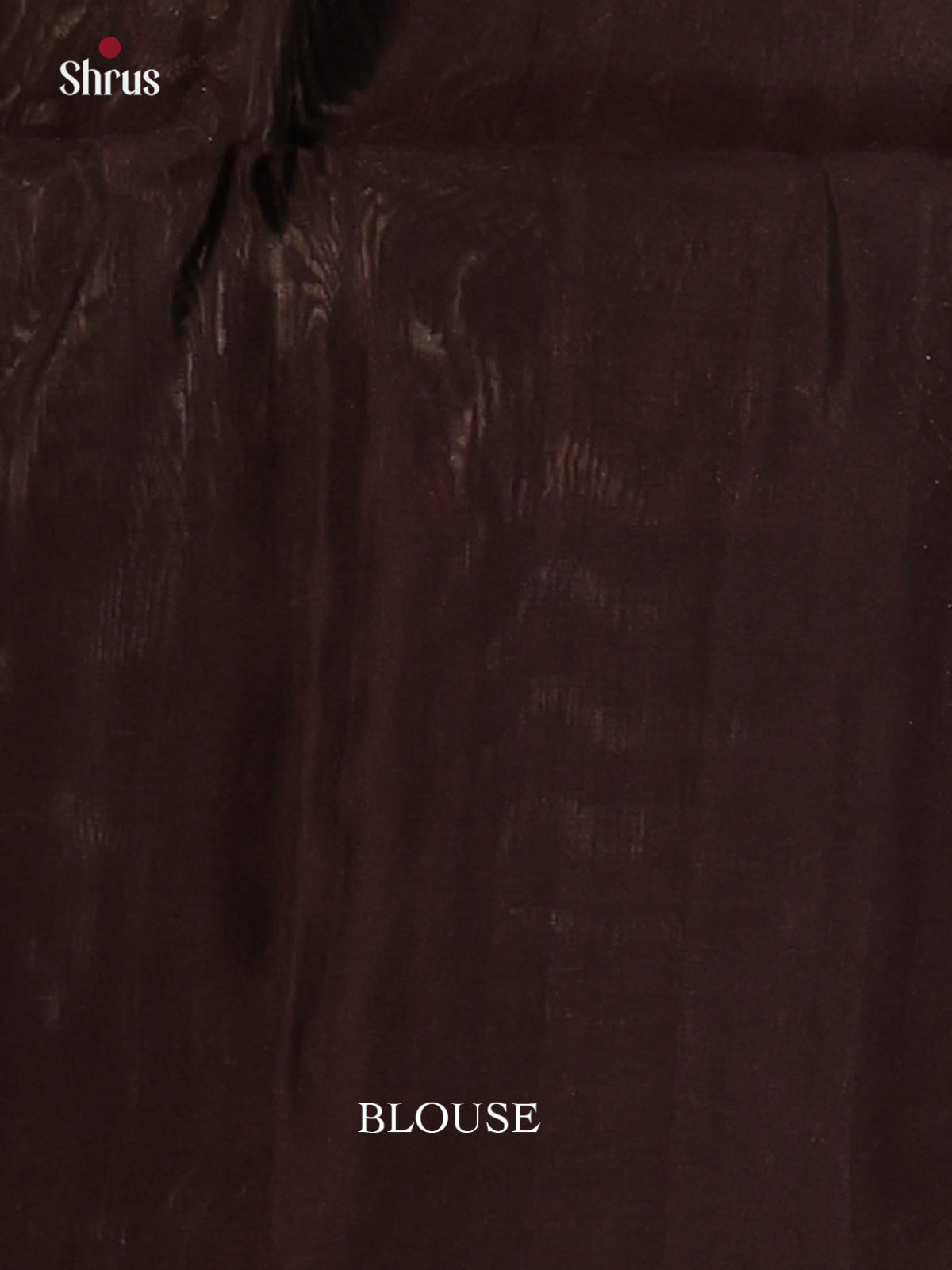 Light Green Soft Silk Saree with zari paisley brocade Body & brown Border