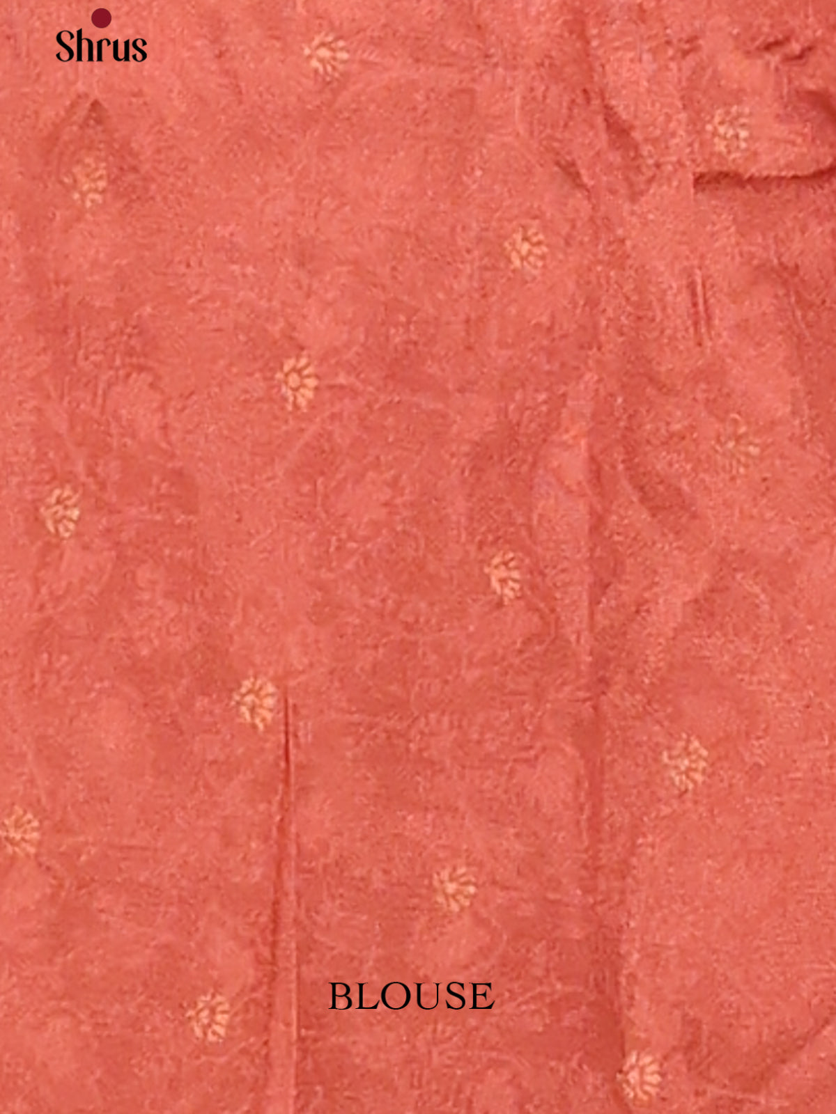 Dusty Pink & Red - chennur-kalamkari Saree - Shop on Shrus.com