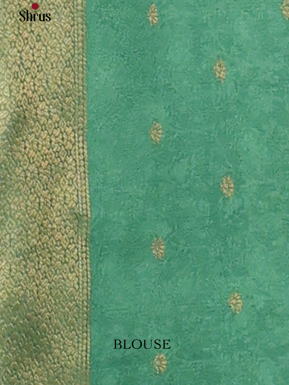 Dusty Pink & Green - chennur-kalamkari Saree - Shop on Shrus.com