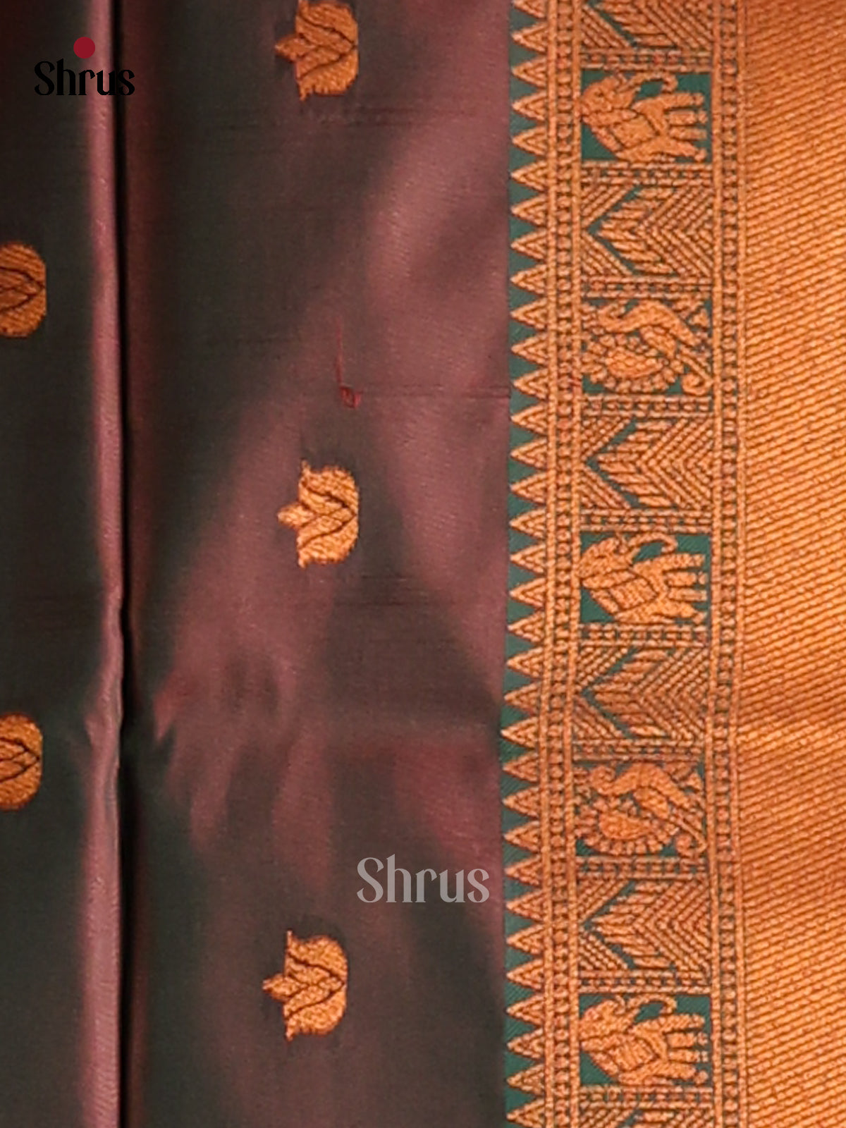 Pink & Green - Semi Softsilk Saree - Shop on Shrus.com