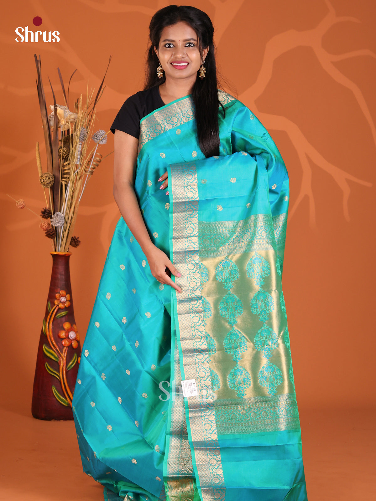 DFS27077 - Shop on Shrus.com