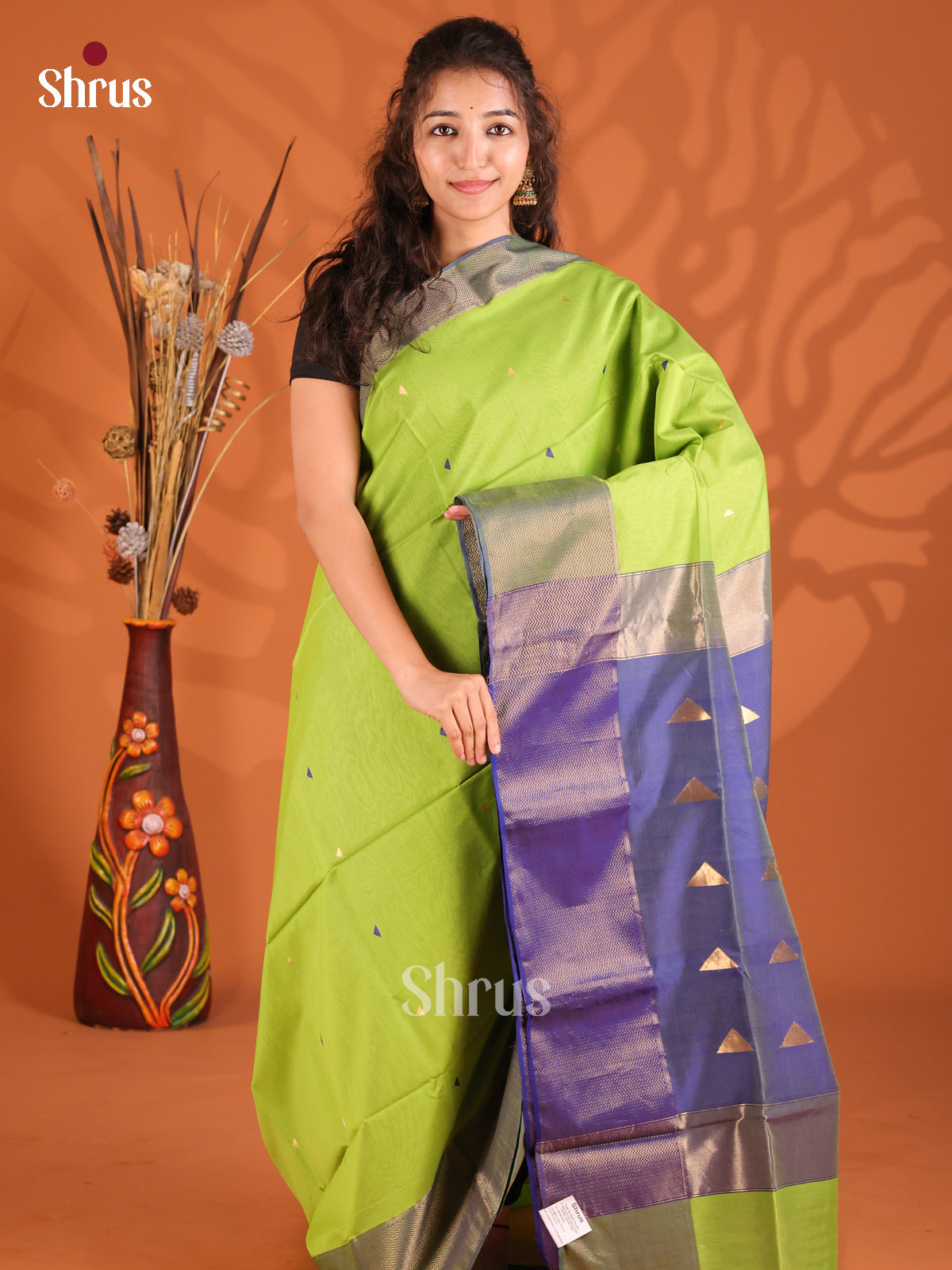Light Green & Blue- Maheshwari silkcotton Saree