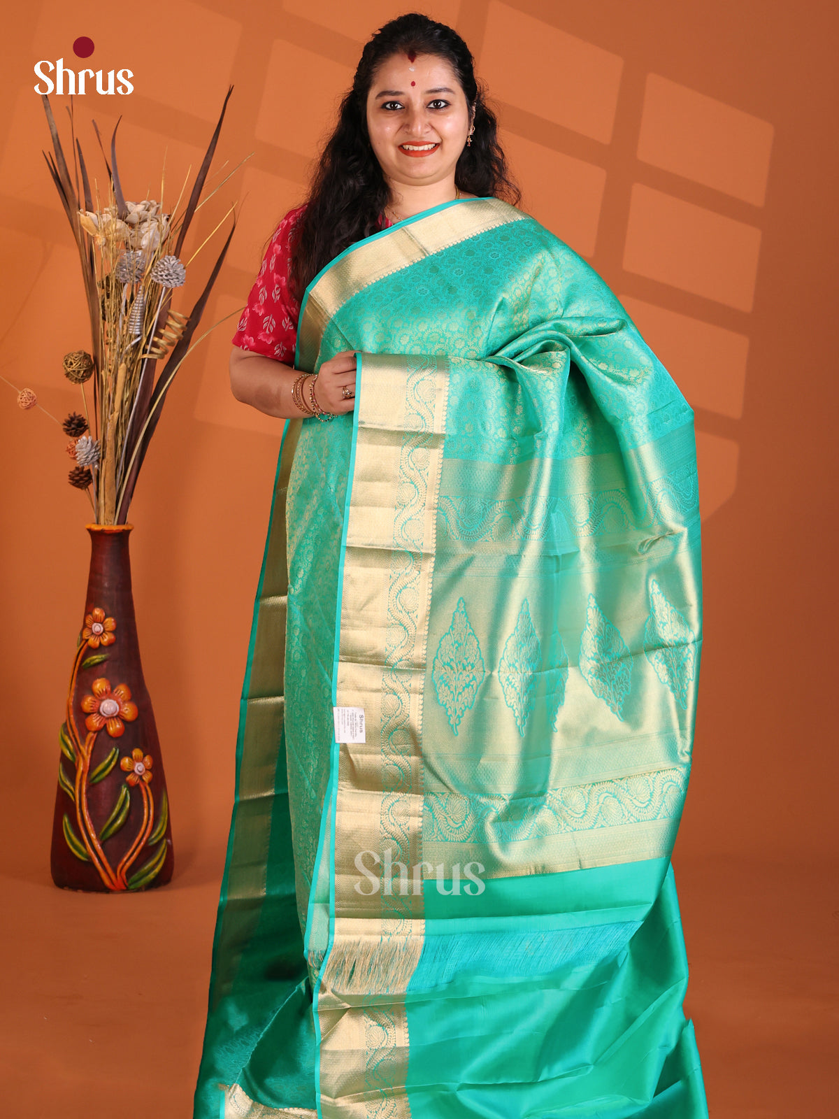 DGS05023 - Kanchipuram silk (HR) Saree