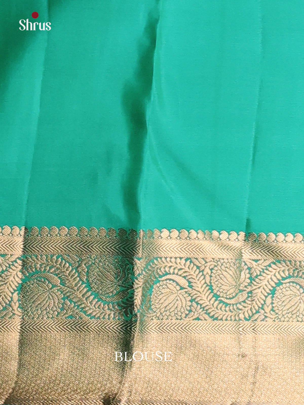 DGS05023 - Kanchipuram silk (HR) Saree