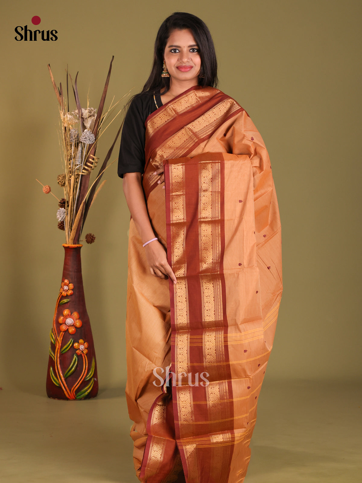 Light Brown & Brown - Chettinad Cotton Saree