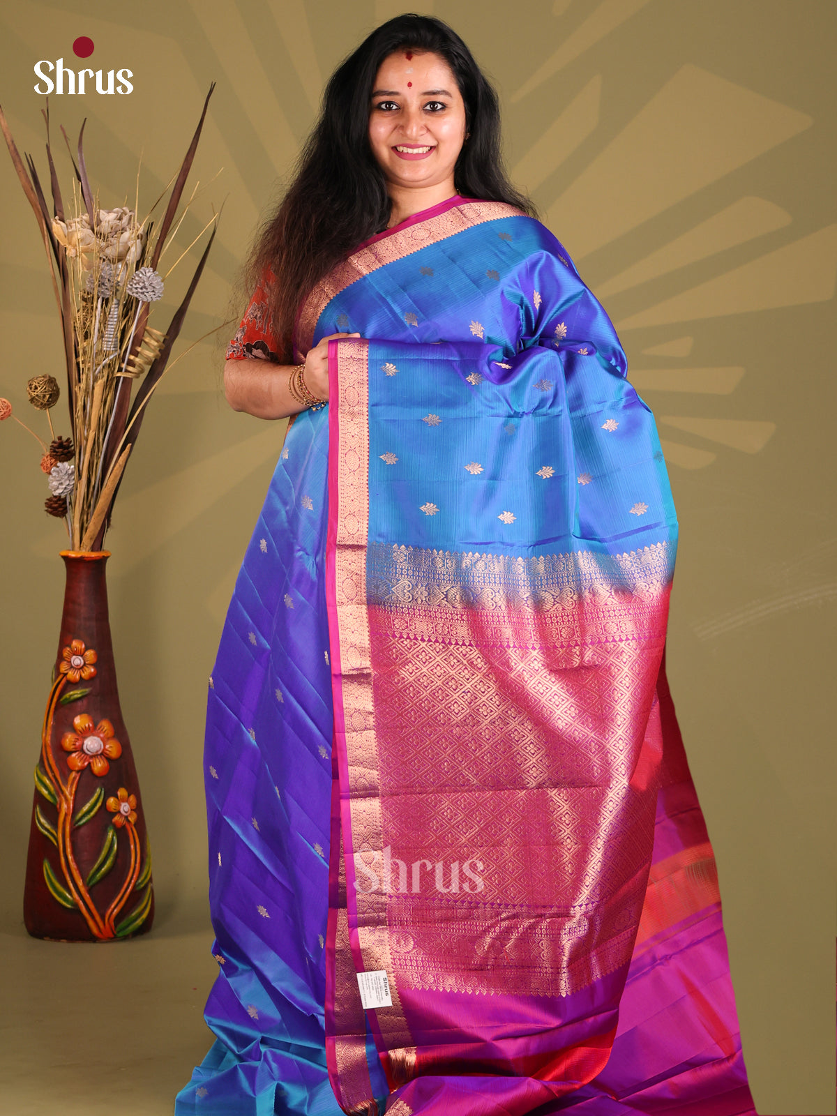 DGS11025 - Kanchipuram silk (HR) Saree