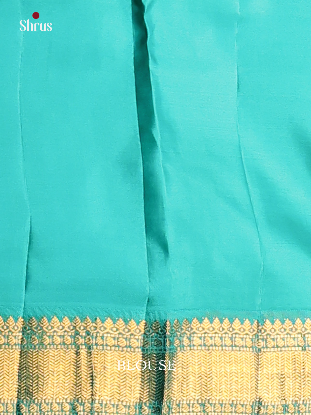 DGS11094 - Kanchipuram silk (HR) Saree
