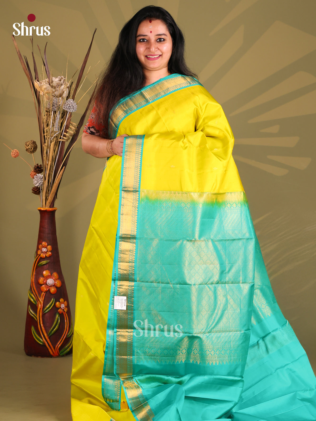 DGS11105 - Kanchipuram silk (HR) Saree