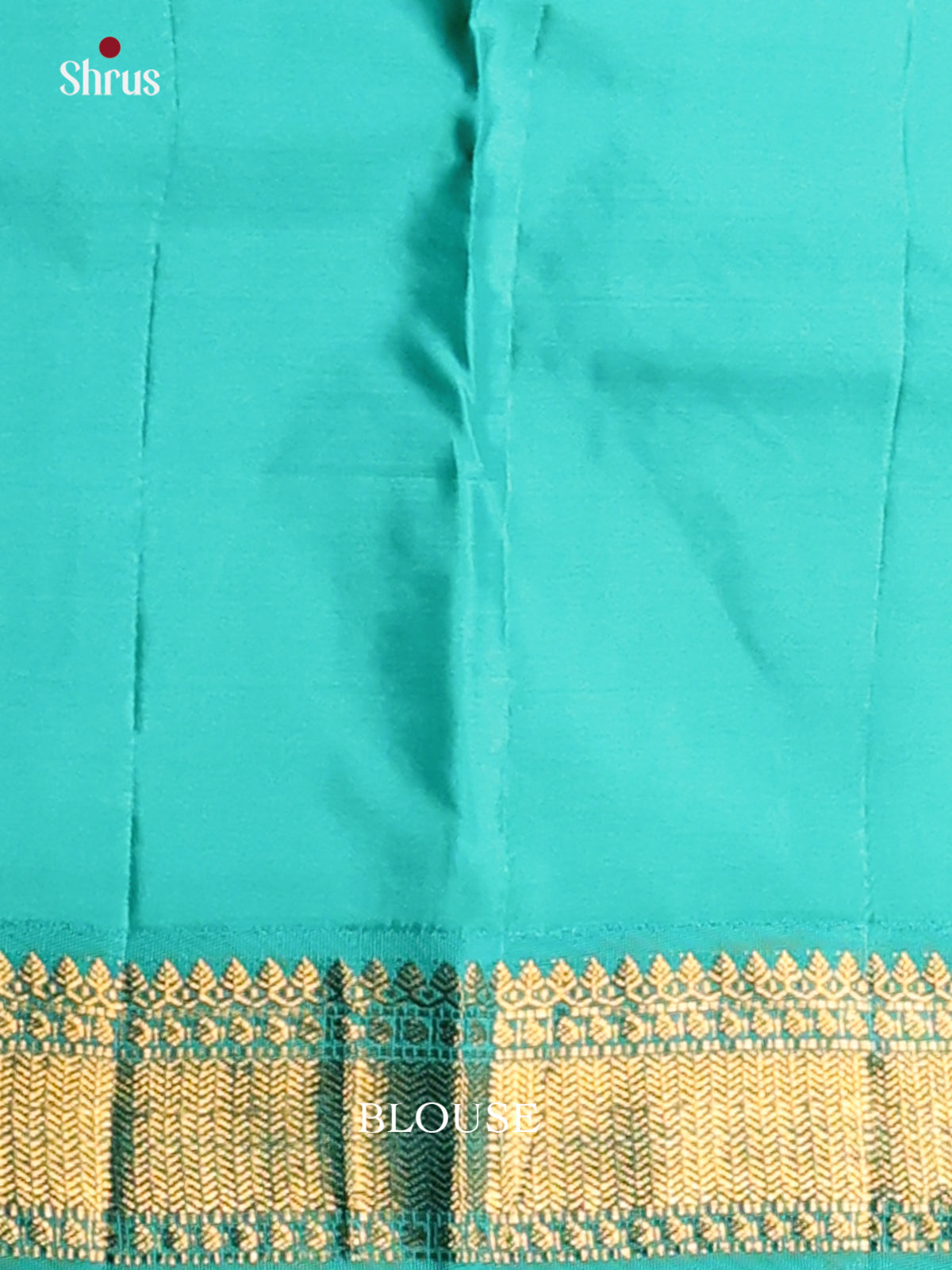DGS11105 - Kanchipuram silk (HR) Saree