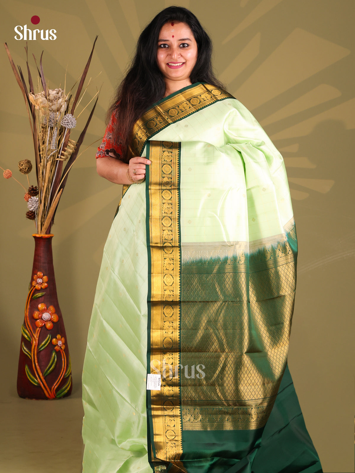 DGS11108 - Kanchipuram silk (HR) Saree