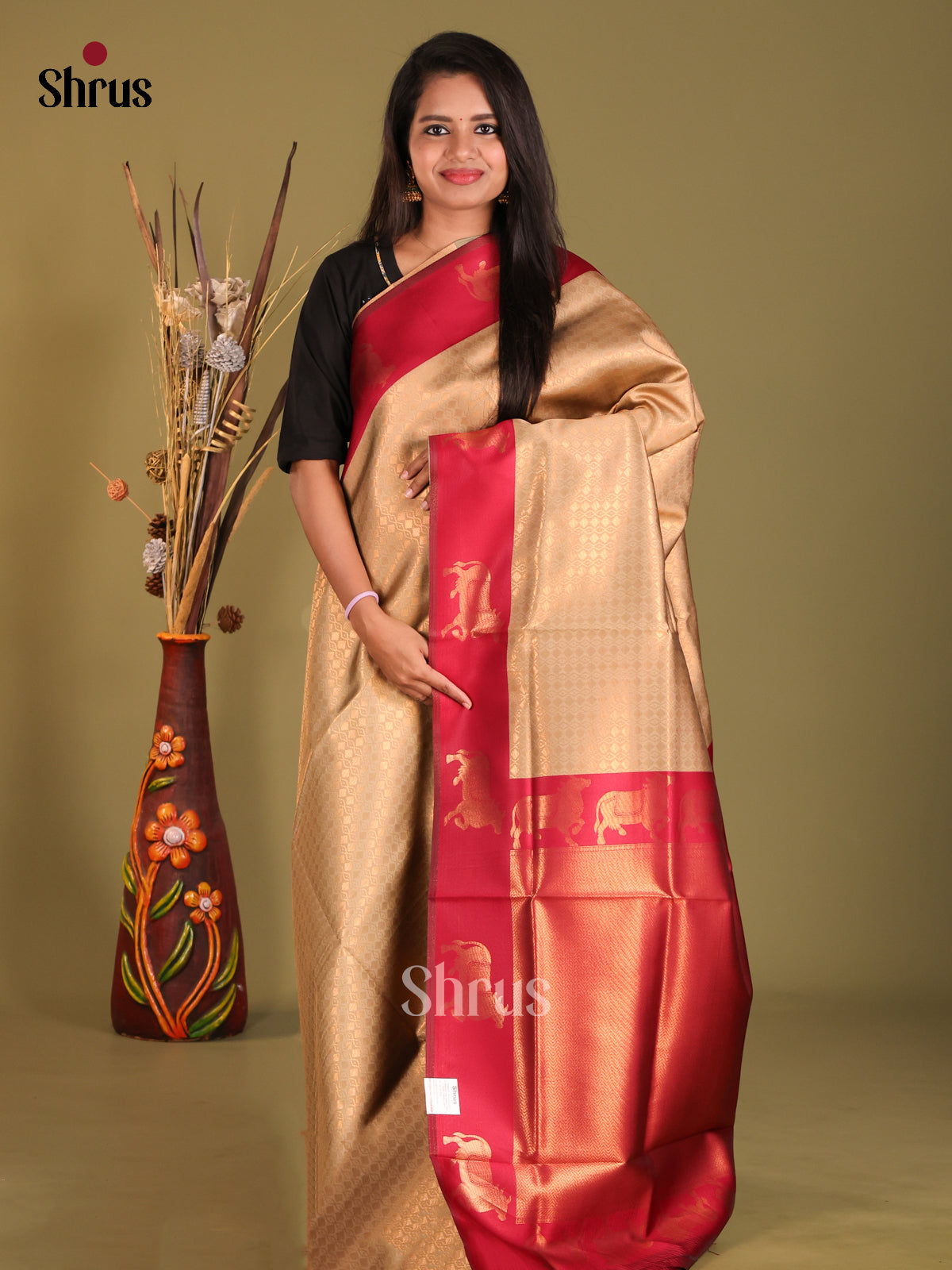 Chikoo & MAroon- Semi Softsilk Saree