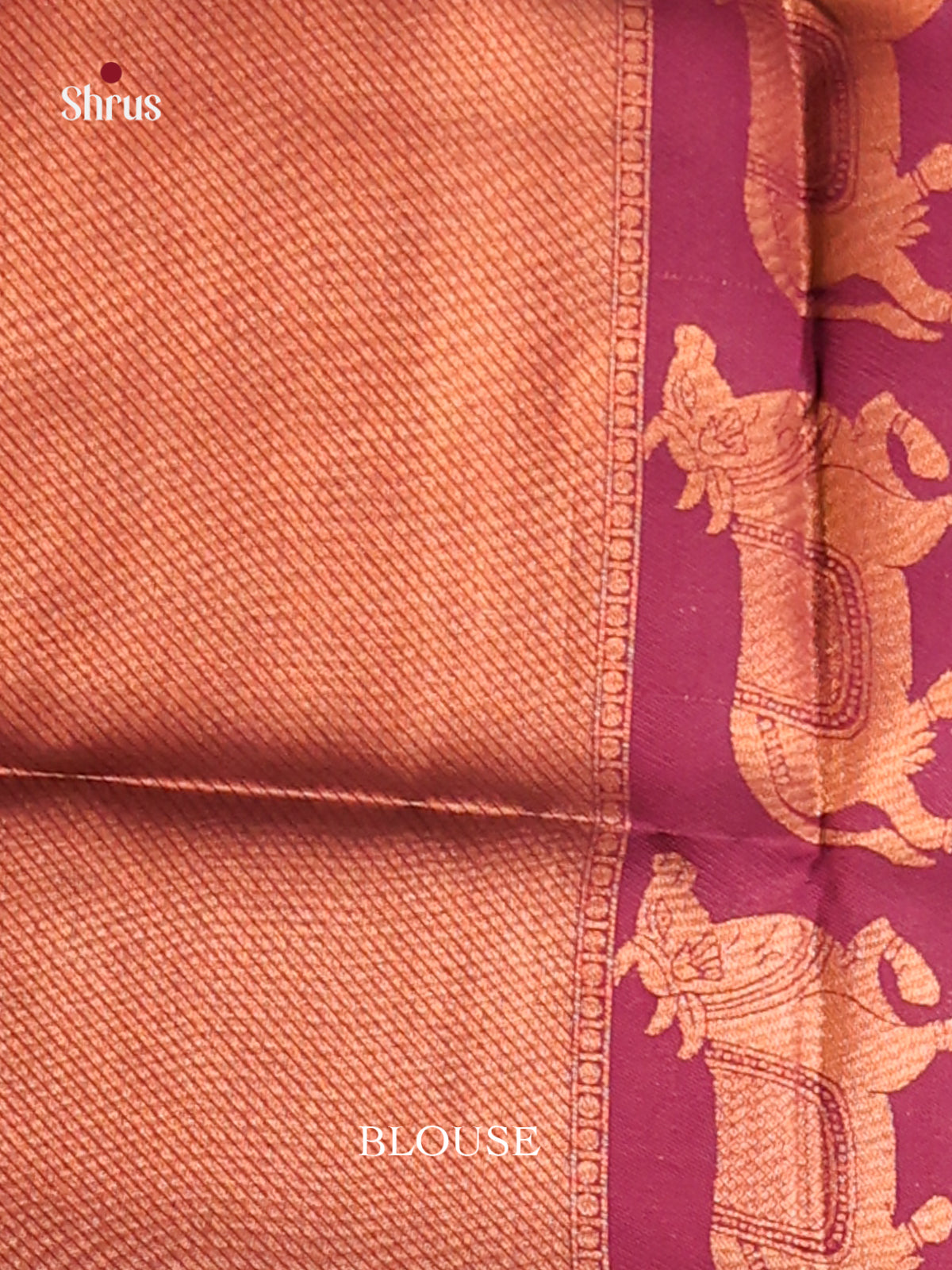 DGS14053 - Semi Softsilk Saree - Shop on Shrus.com
