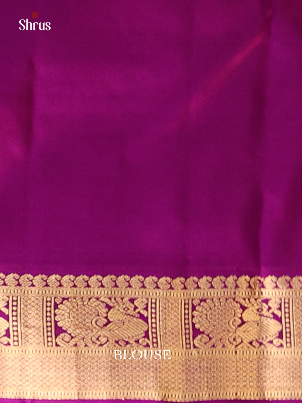 Exquisite White Kanchipuram silk Saree gleams with zari paisleys buttas - Shop on Shrus.com