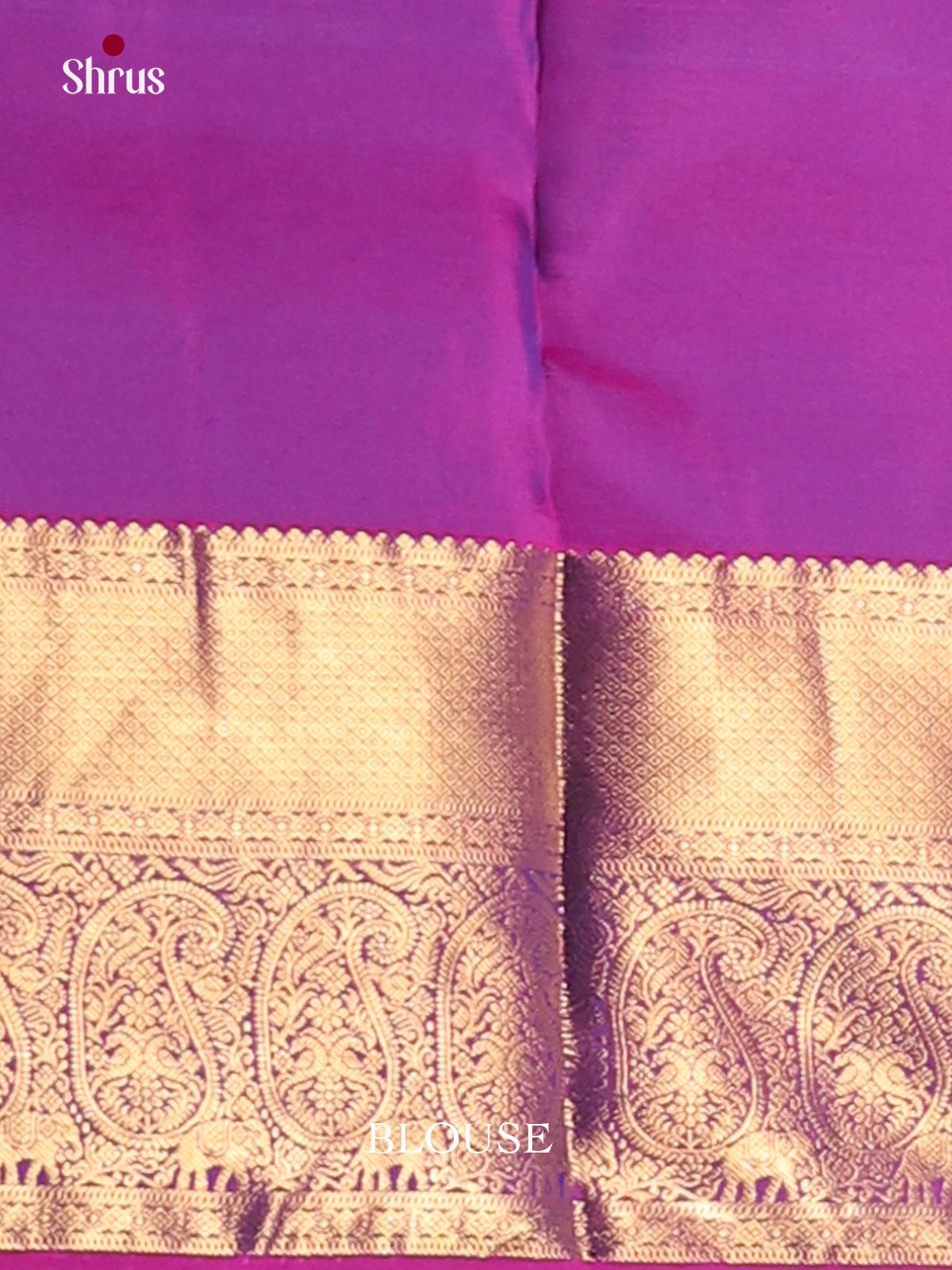 Blue & Purple - Kanchipuram-halfpure Saree