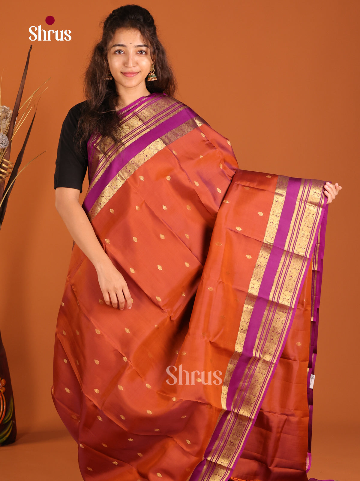 Rust & Purple - Kanchipuram-halfpure Saree - Shop on Shrus.com