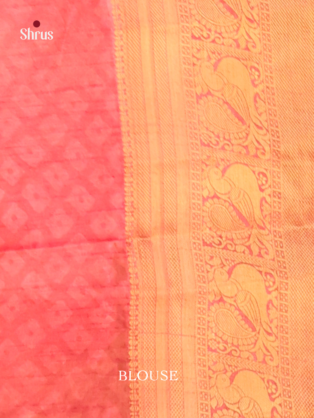 Chutney Green & Brick- Semi Patola Saree