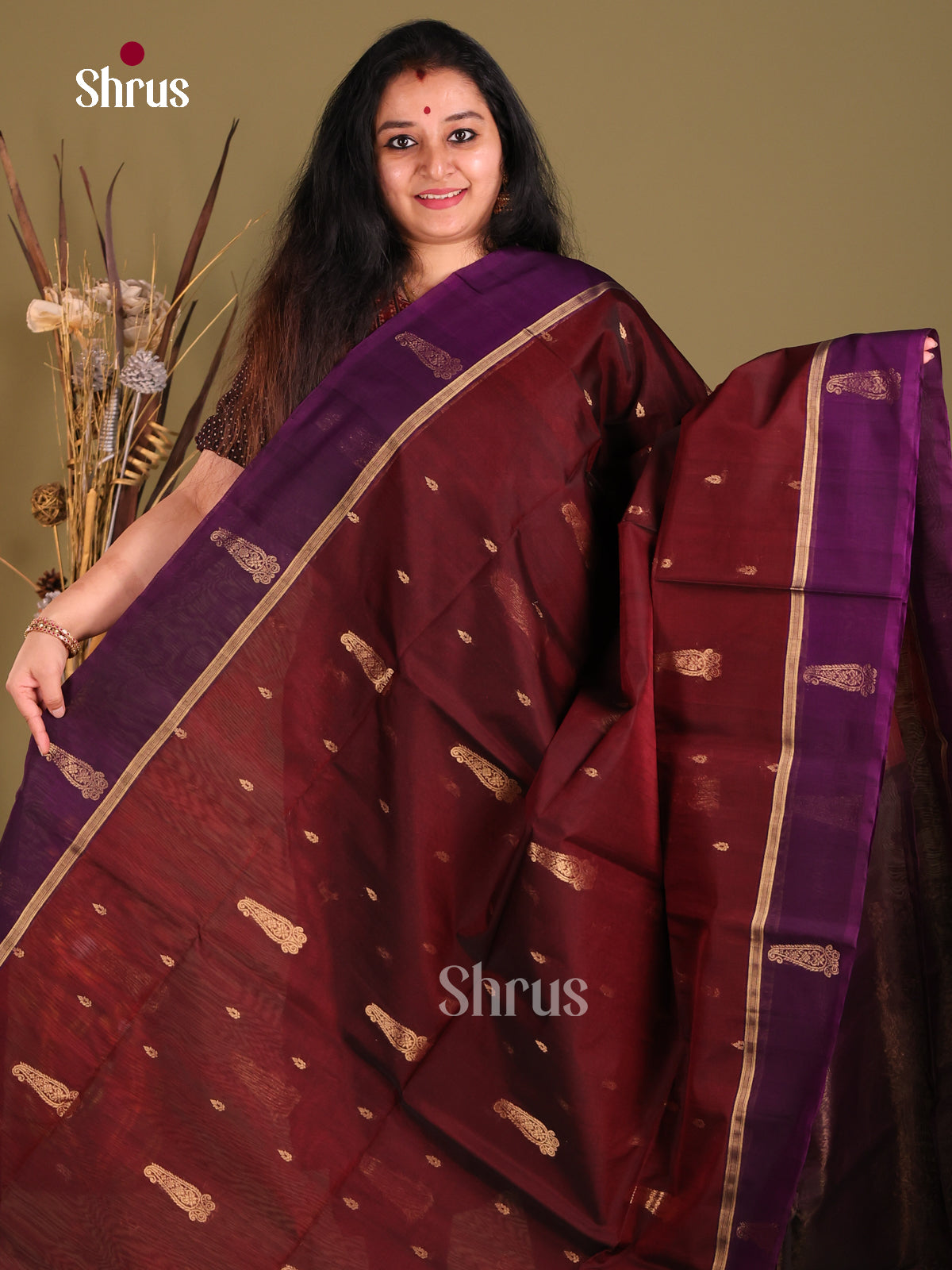 Maroon & Purple Silk Cotton Saree with gold zari paisley buttas - Shop on Shrus.com