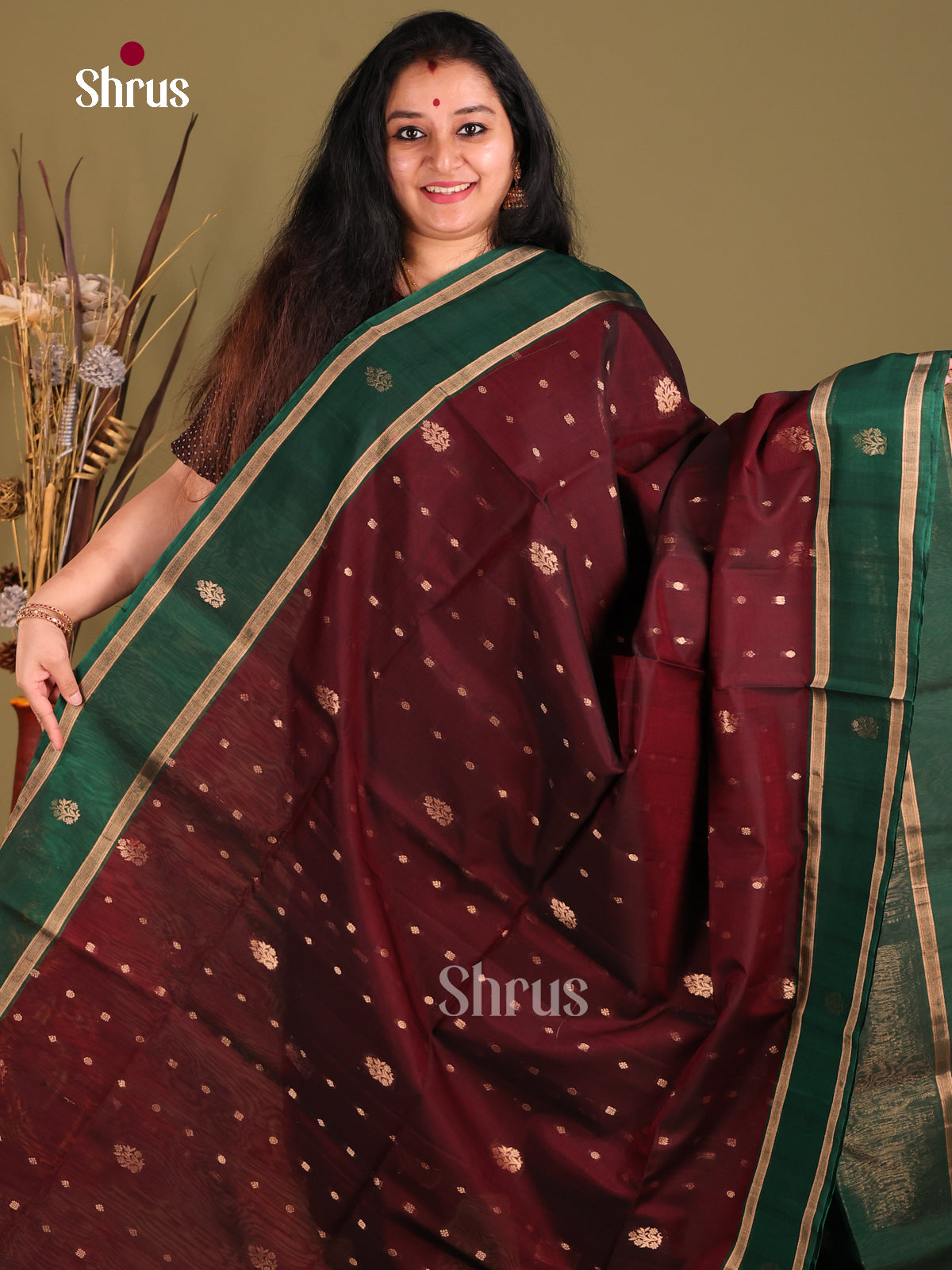 DGS18018 - Silk Cotton Saree - Shop on Shrus.com