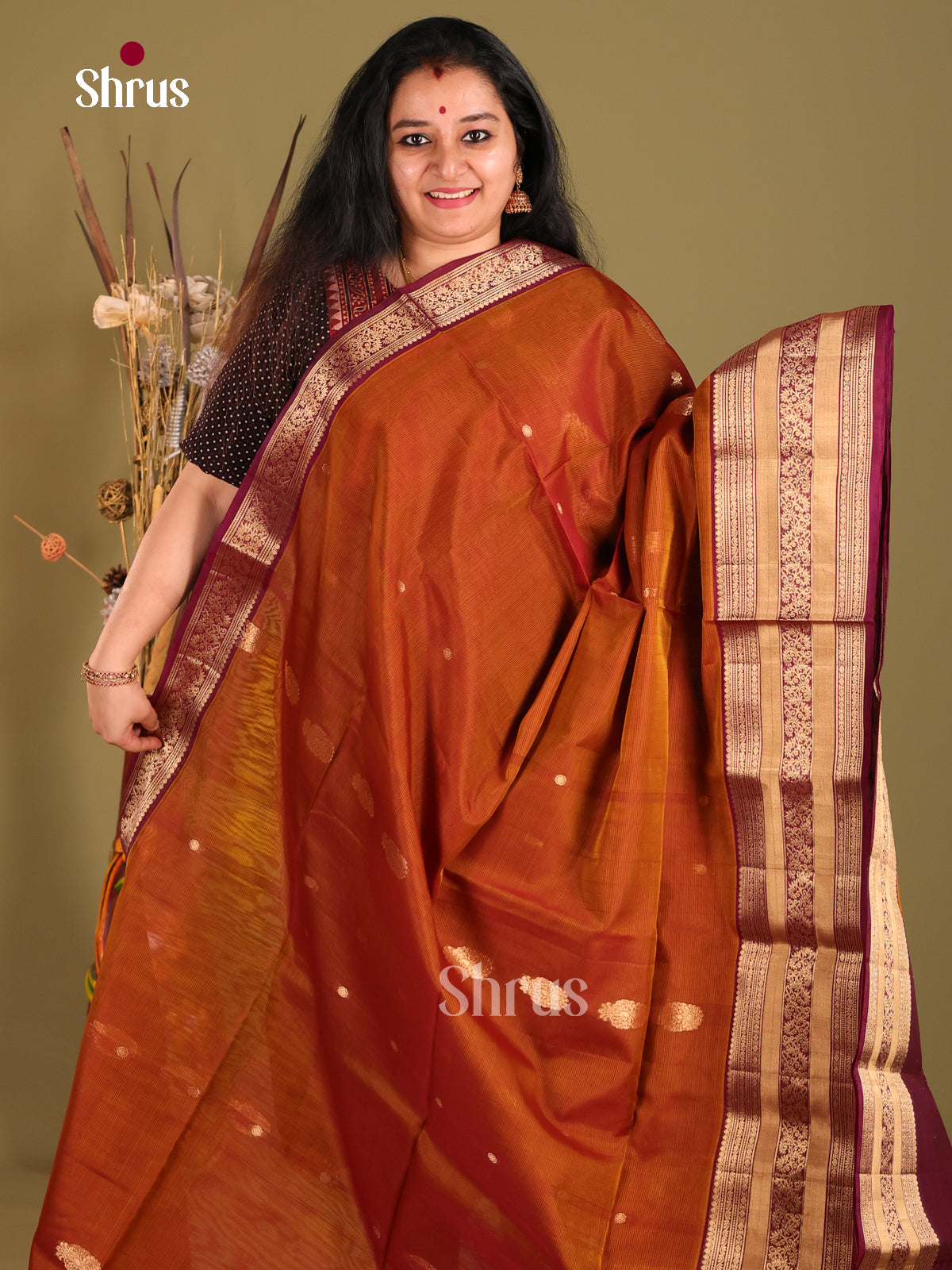 DGS18026 - Silk Cotton Saree - Shop on Shrus.com