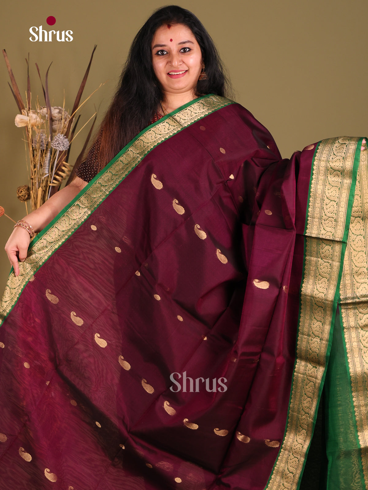 Maroon & Green Silk Cotton Saree gleams with paisley buttas - Shop on Shrus.com