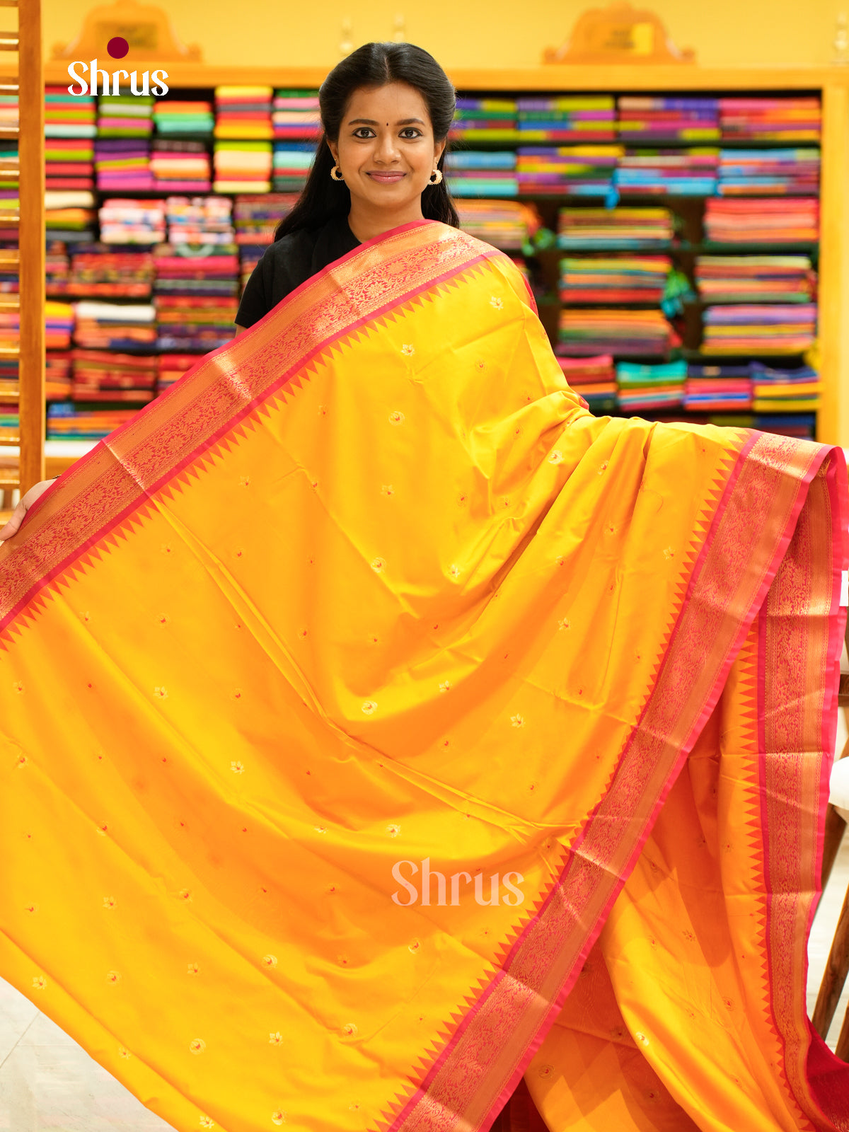 Kanchipuram-halfpure-DGS18051