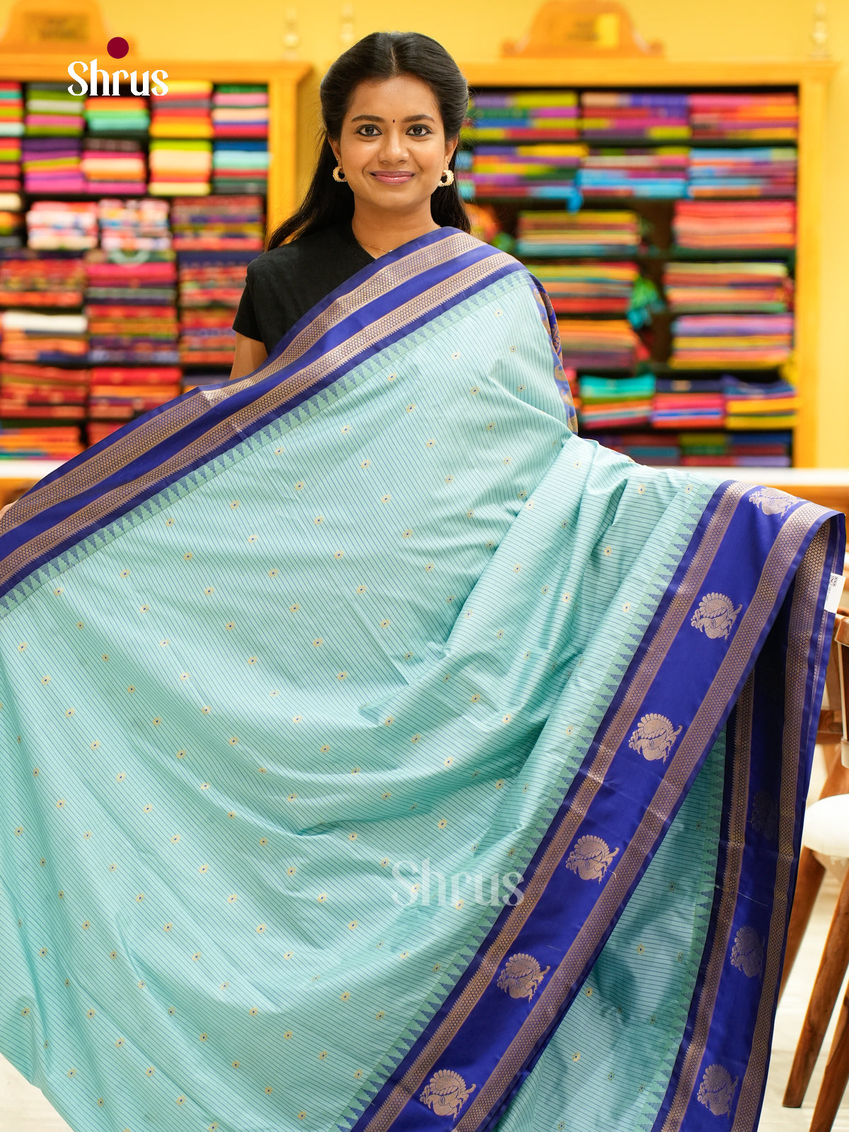 Kanchipuram-halfpure-DGS18059