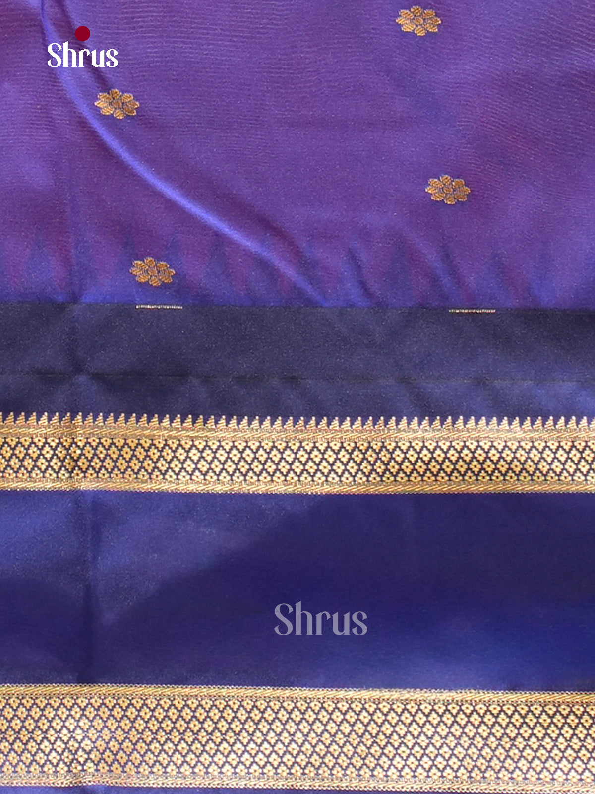 Kanchipuram-halfpure-DGS18063