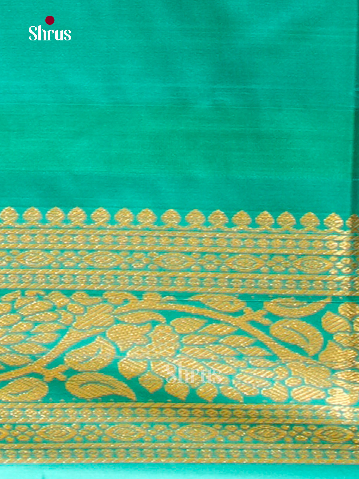 Kanchipuram-halfpure-DGS18088