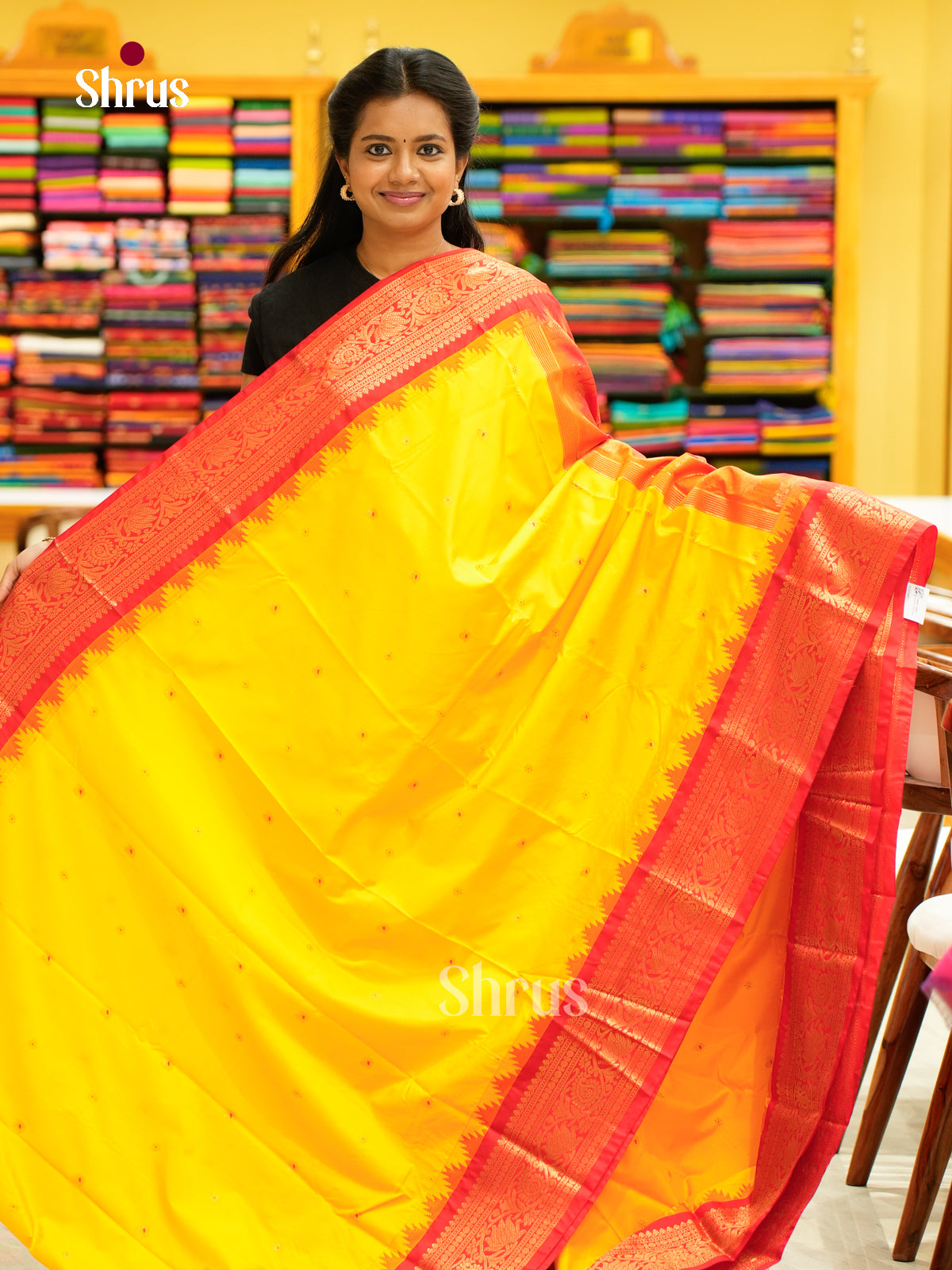 Kanchipuram-halfpure-DGS18093