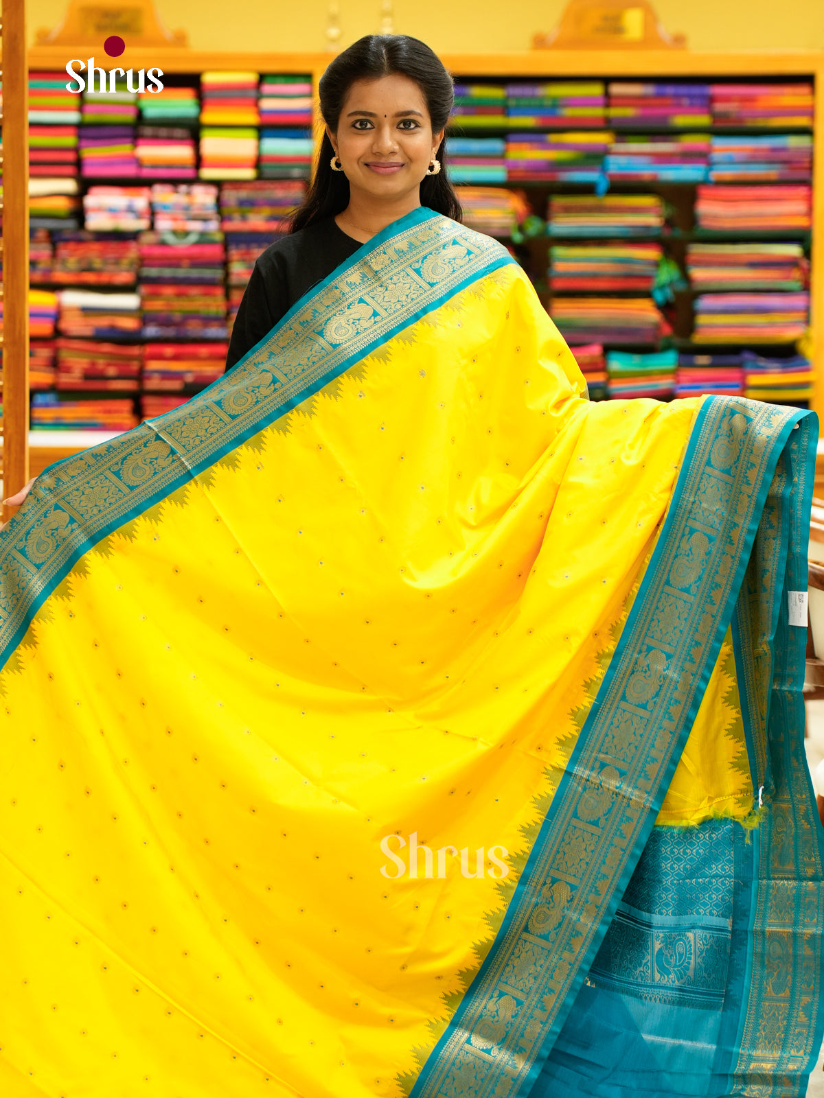 Kanchipuram-halfpure-DGS18101