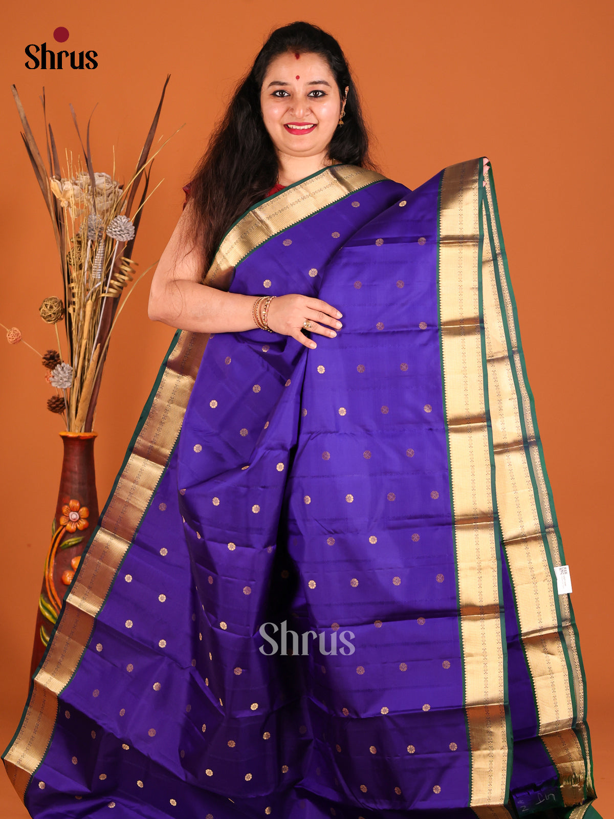 Blue & Green Kanchipuram silk Saree with rich brocade contrast Pallu