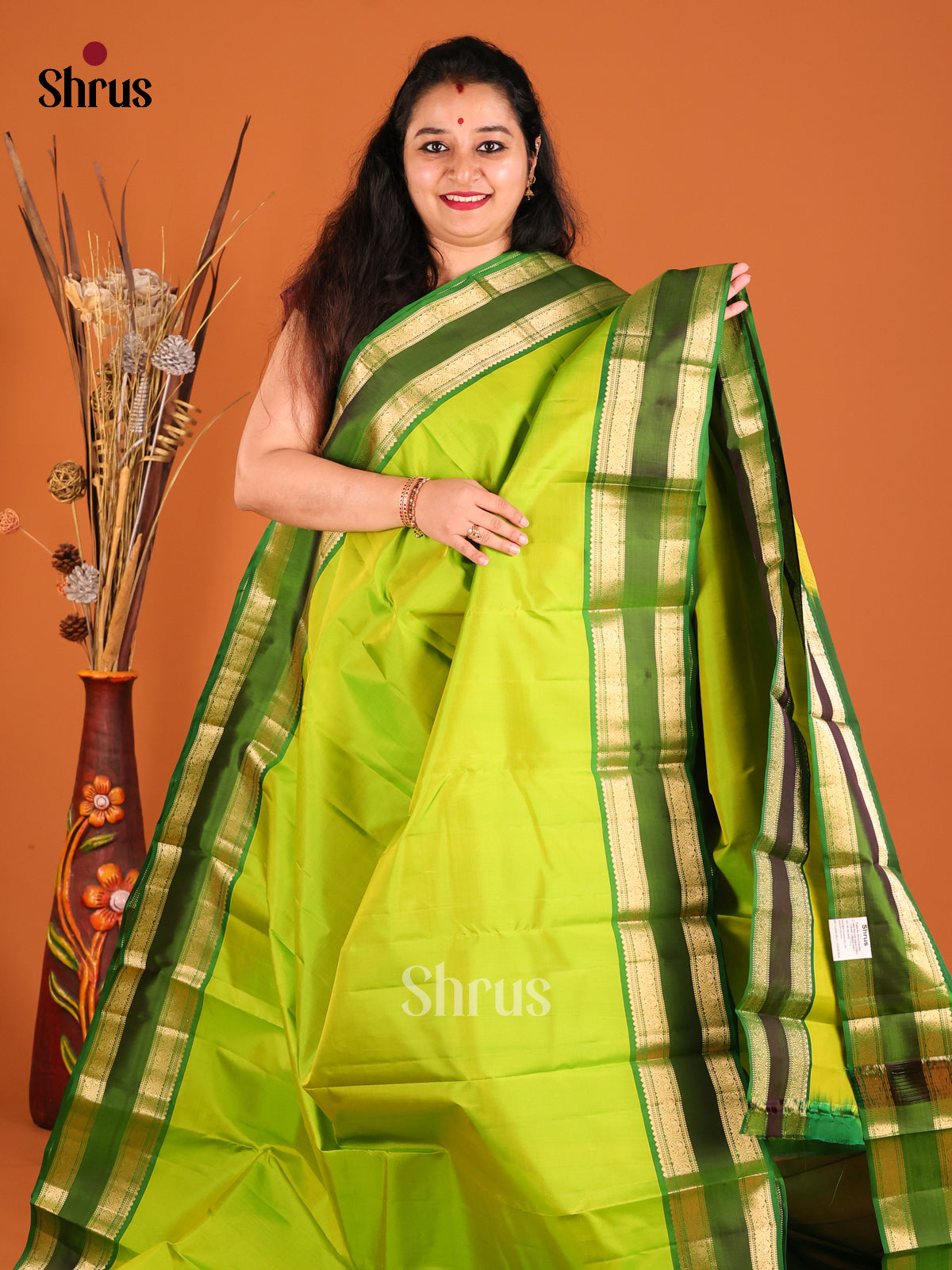 Light Green & Green Kanchipuram silk Saree with rettaipet zari border-2