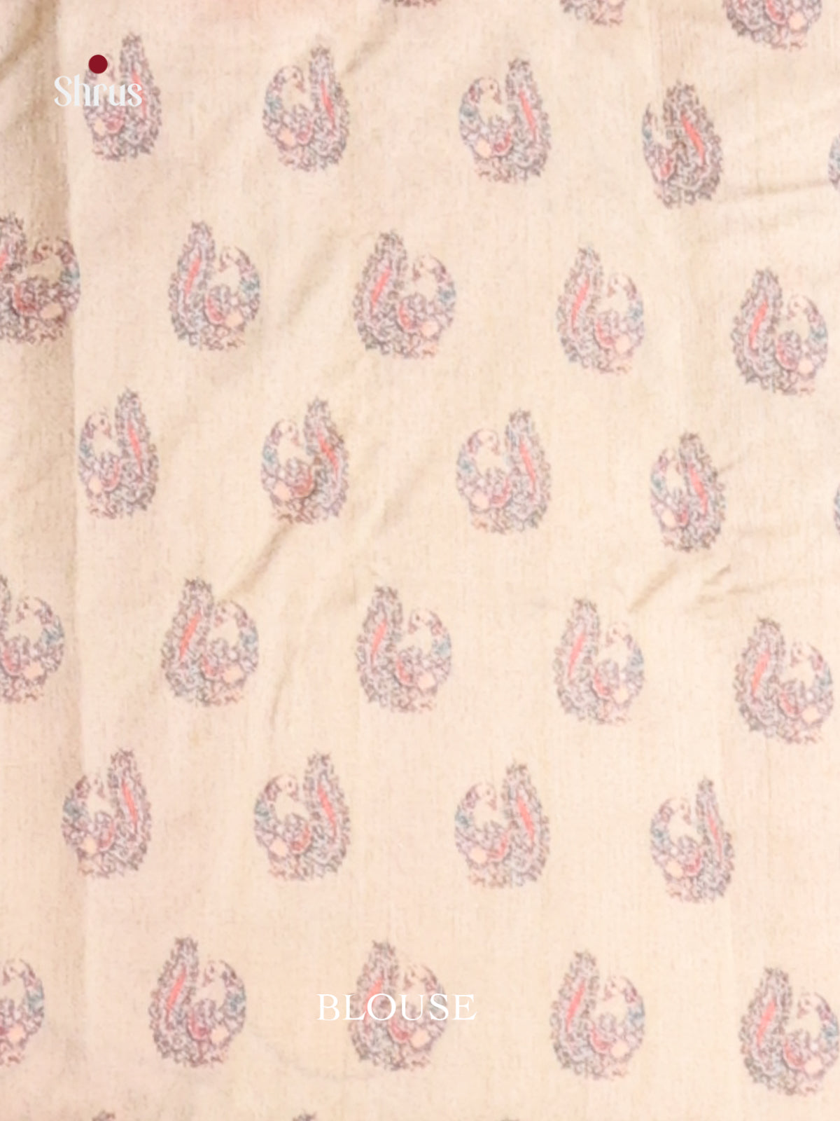 Cream - Semi Tussar Saree