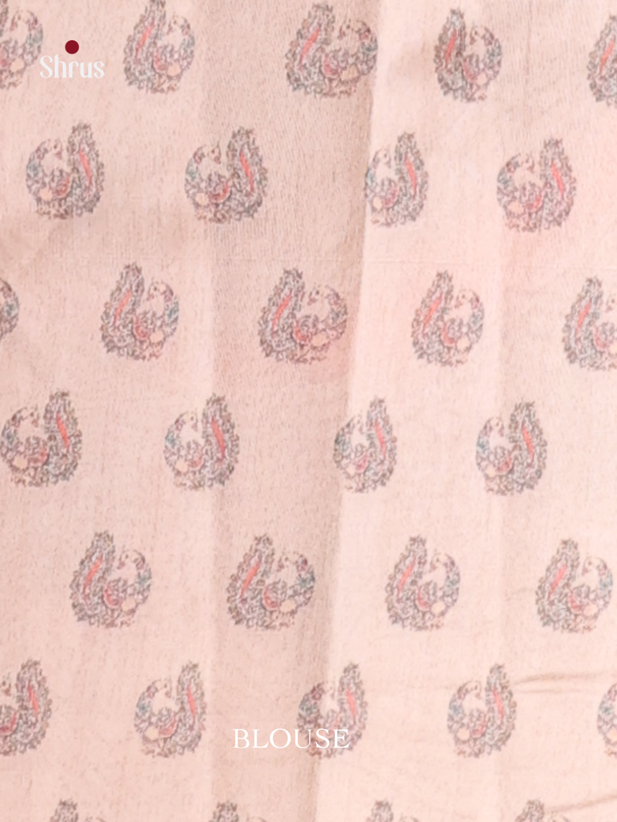 Cream - Semi Tussar Saree