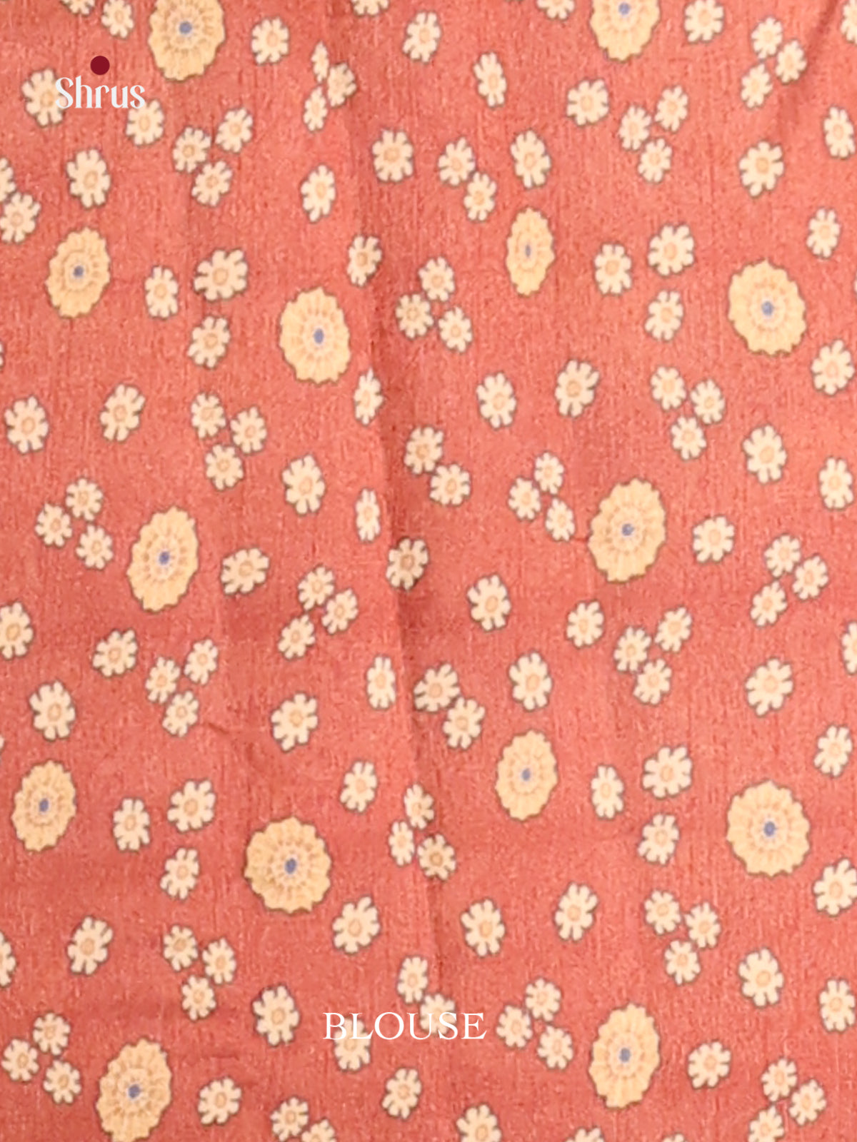 Green & Brick - Semi Tussar Saree