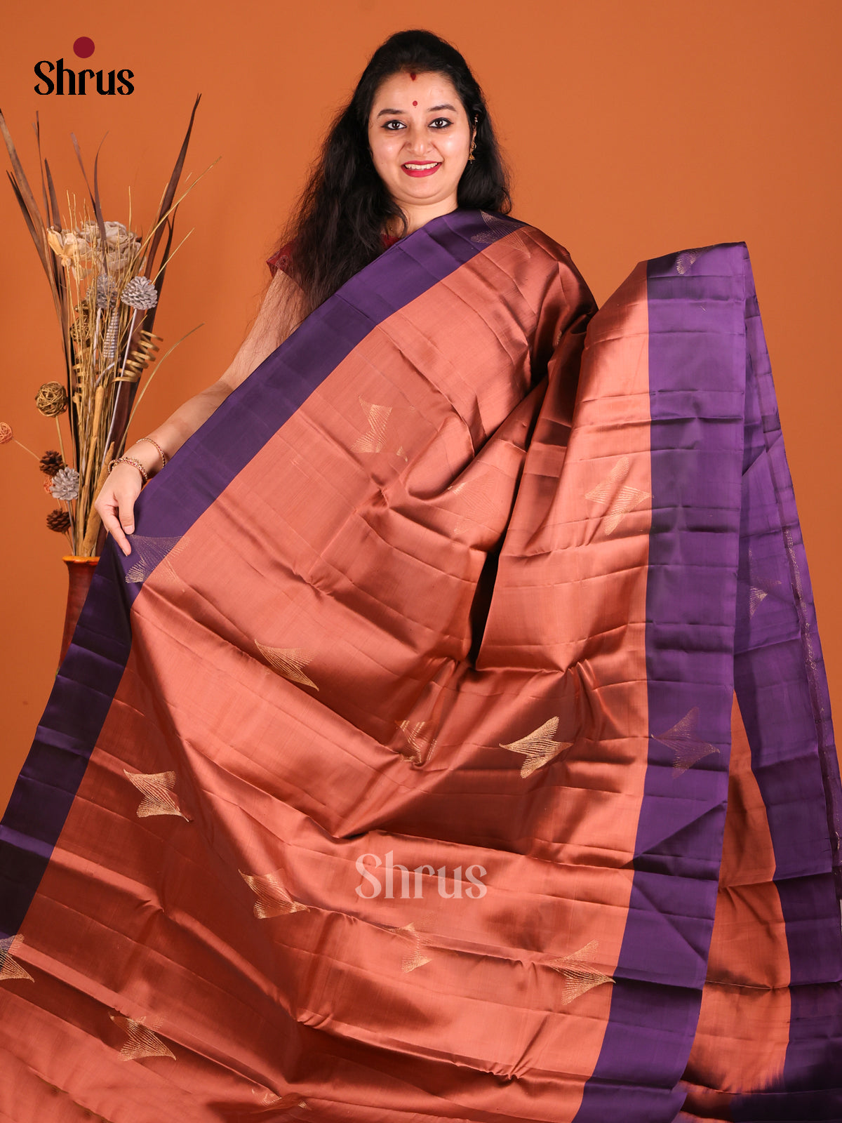 Brown & Violet Softsilk-halfpure Saree with gold zari motifs